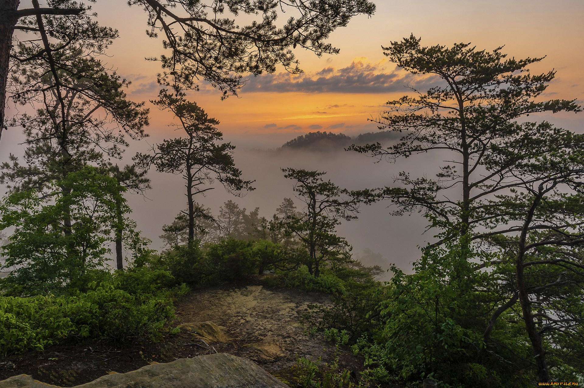 природа, пейзажи, простор
