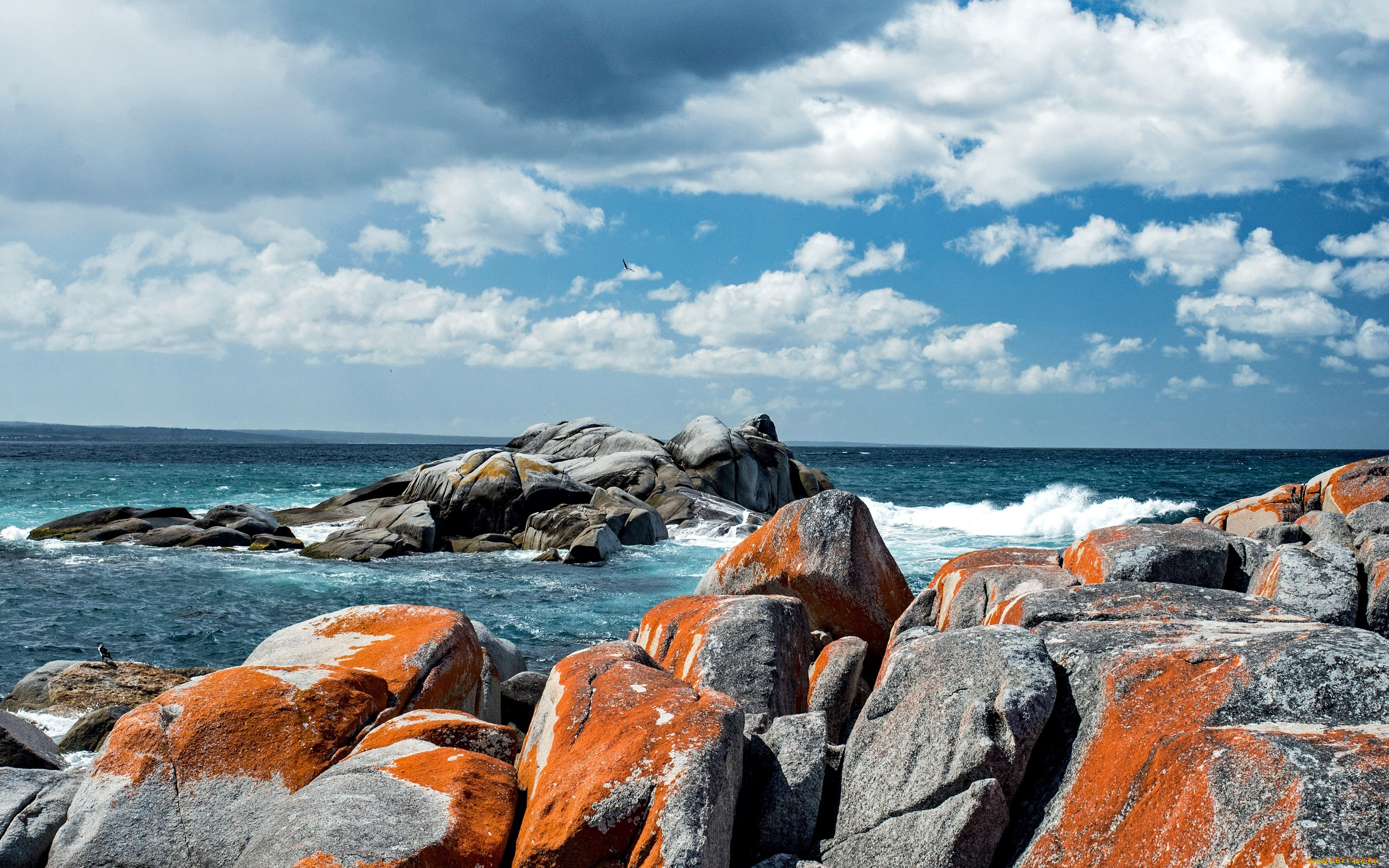 природа, побережье, камни