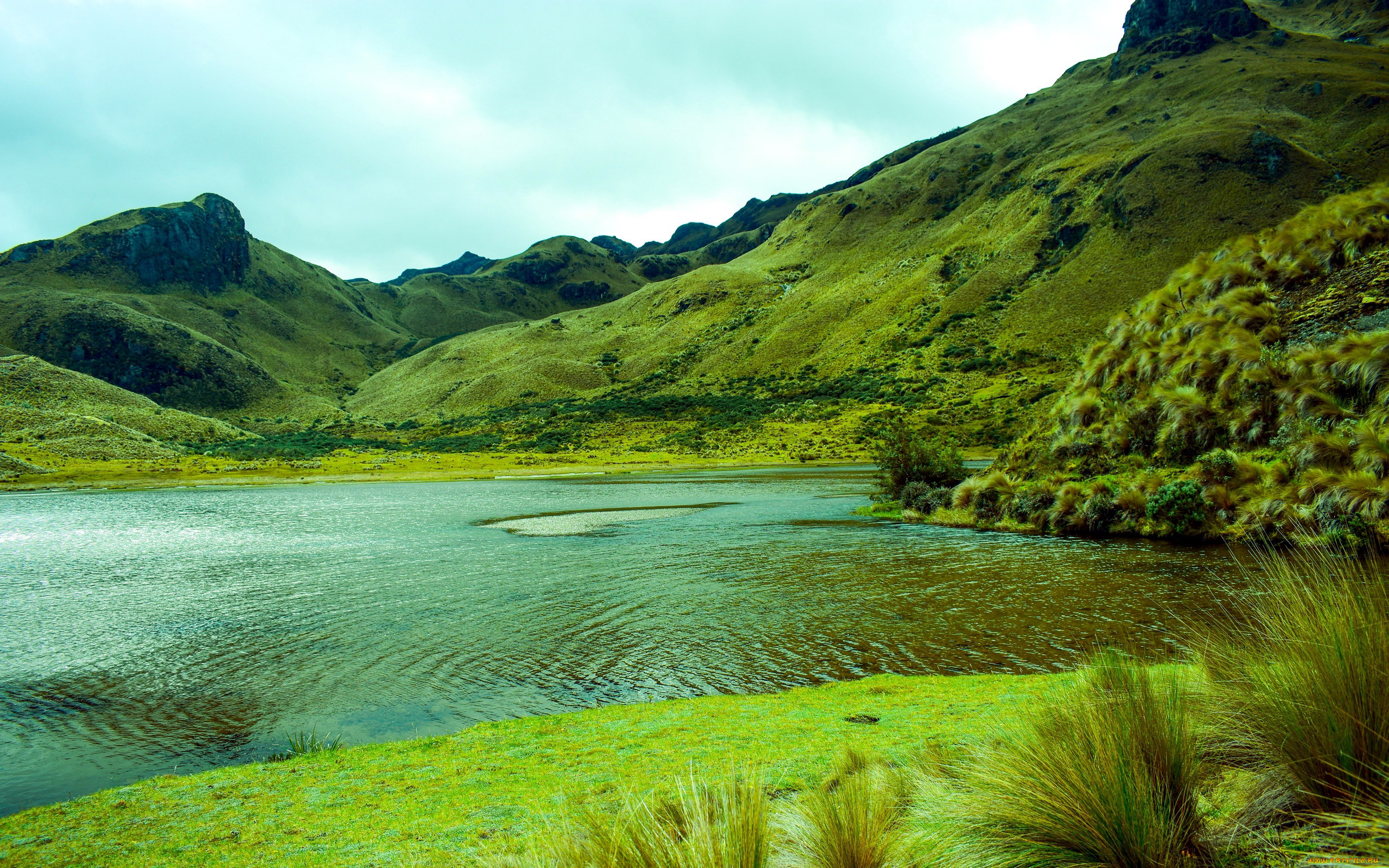 природа, реки, озера, озеро