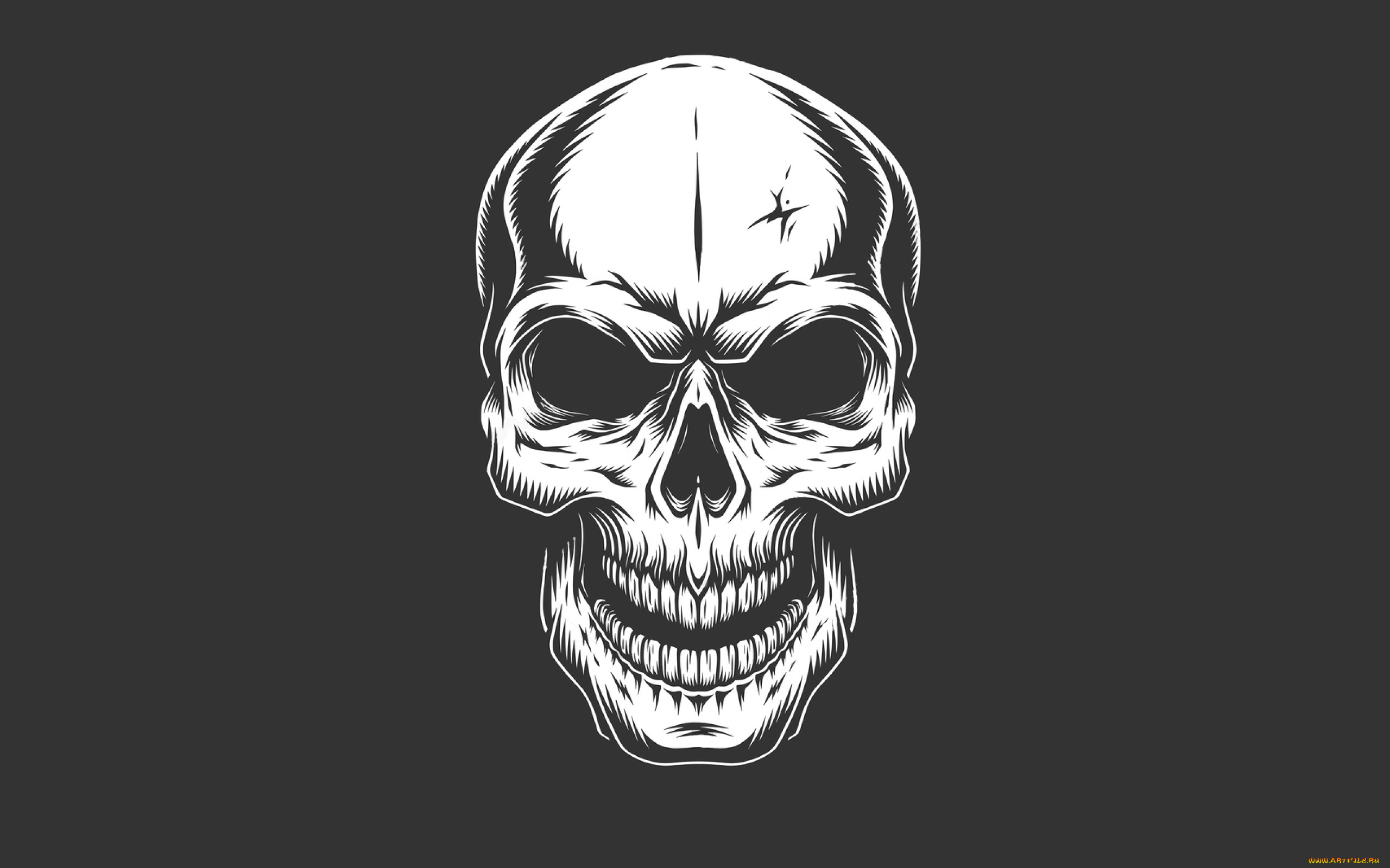 рисованное, минимализм, череп, фон