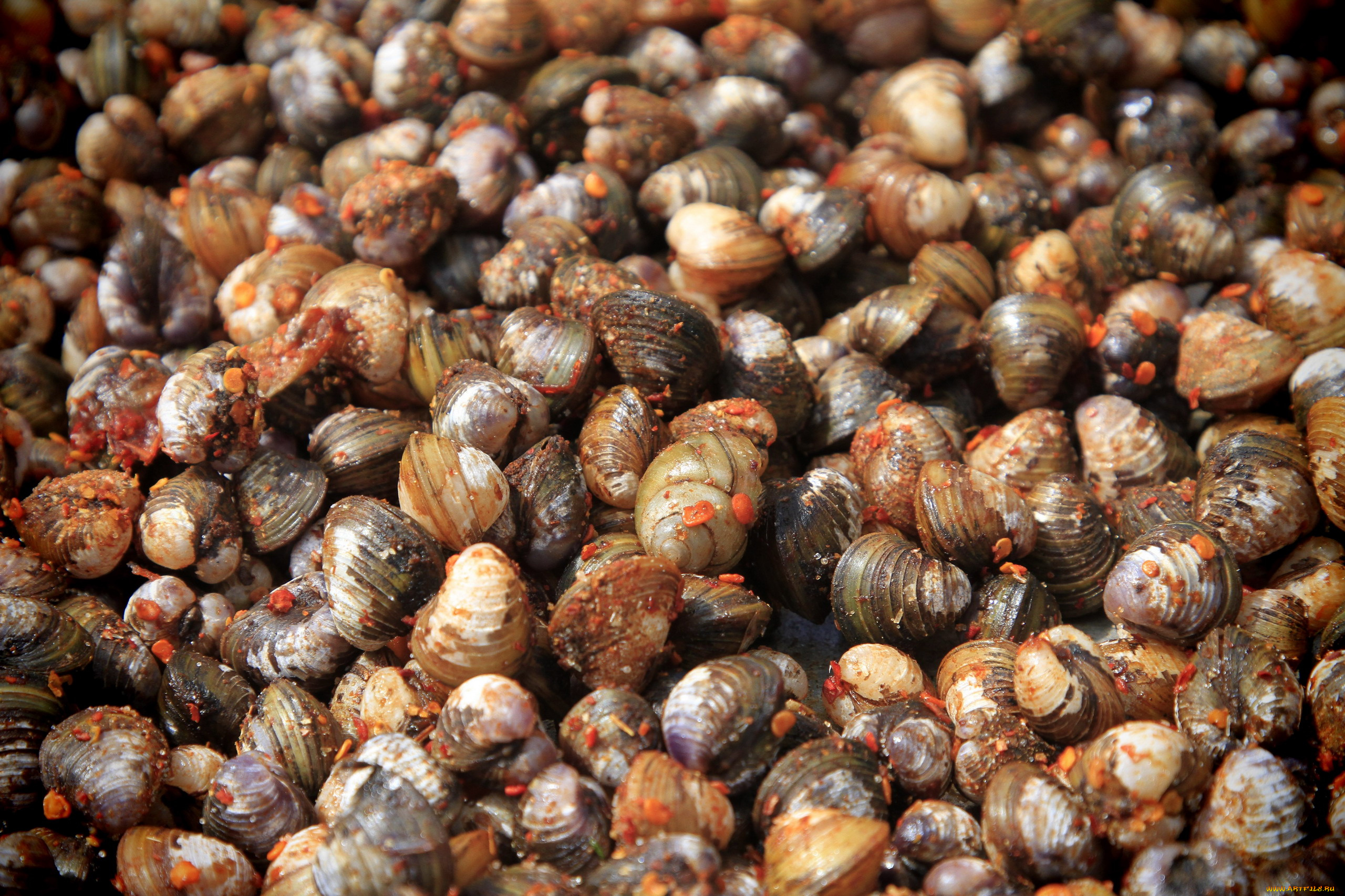 еда, рыба, , морепродукты, , суши, , роллы, улитки