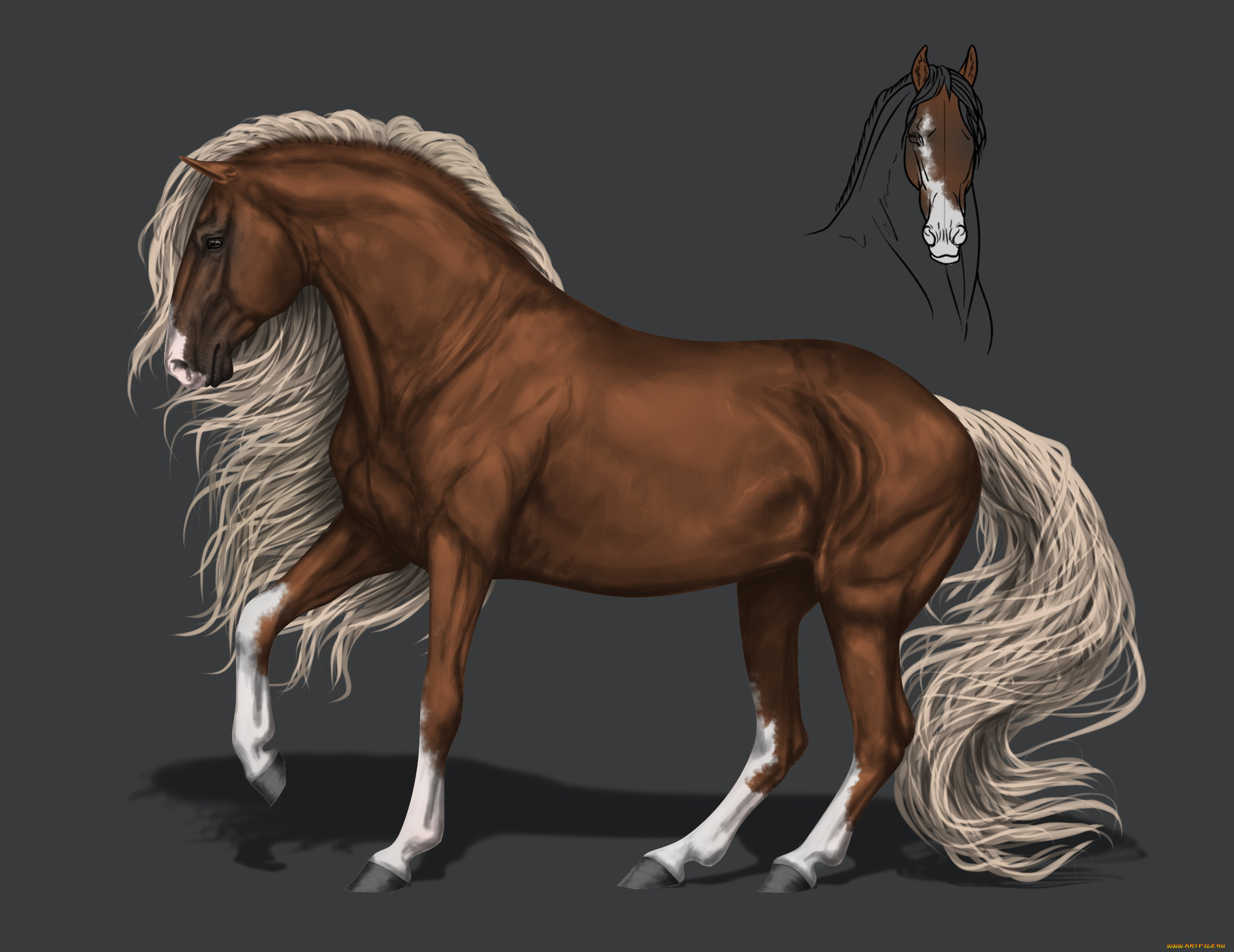 рисованное, животные, , лошади, грива, фон, конь