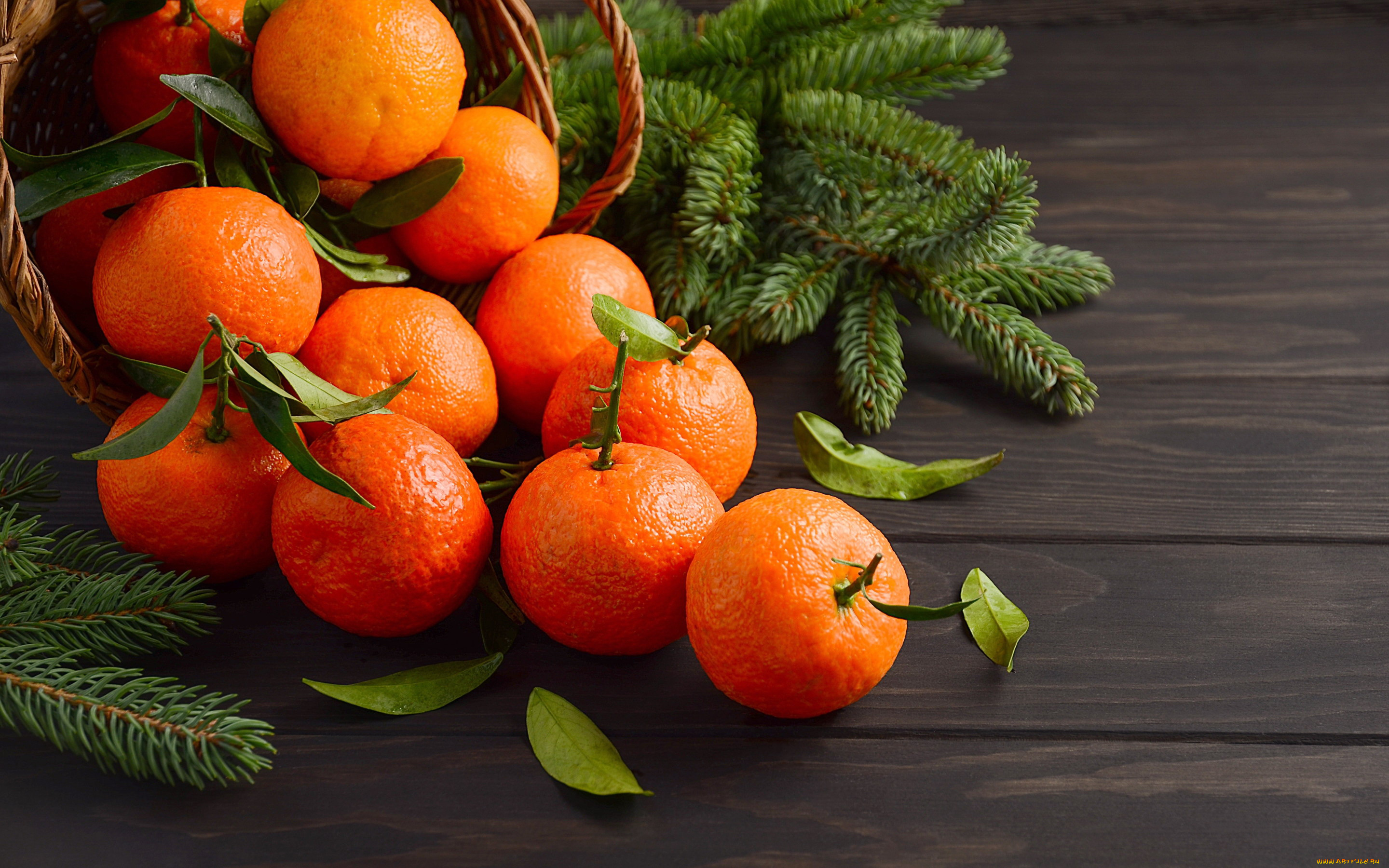 еда, цитрусы, мандарины