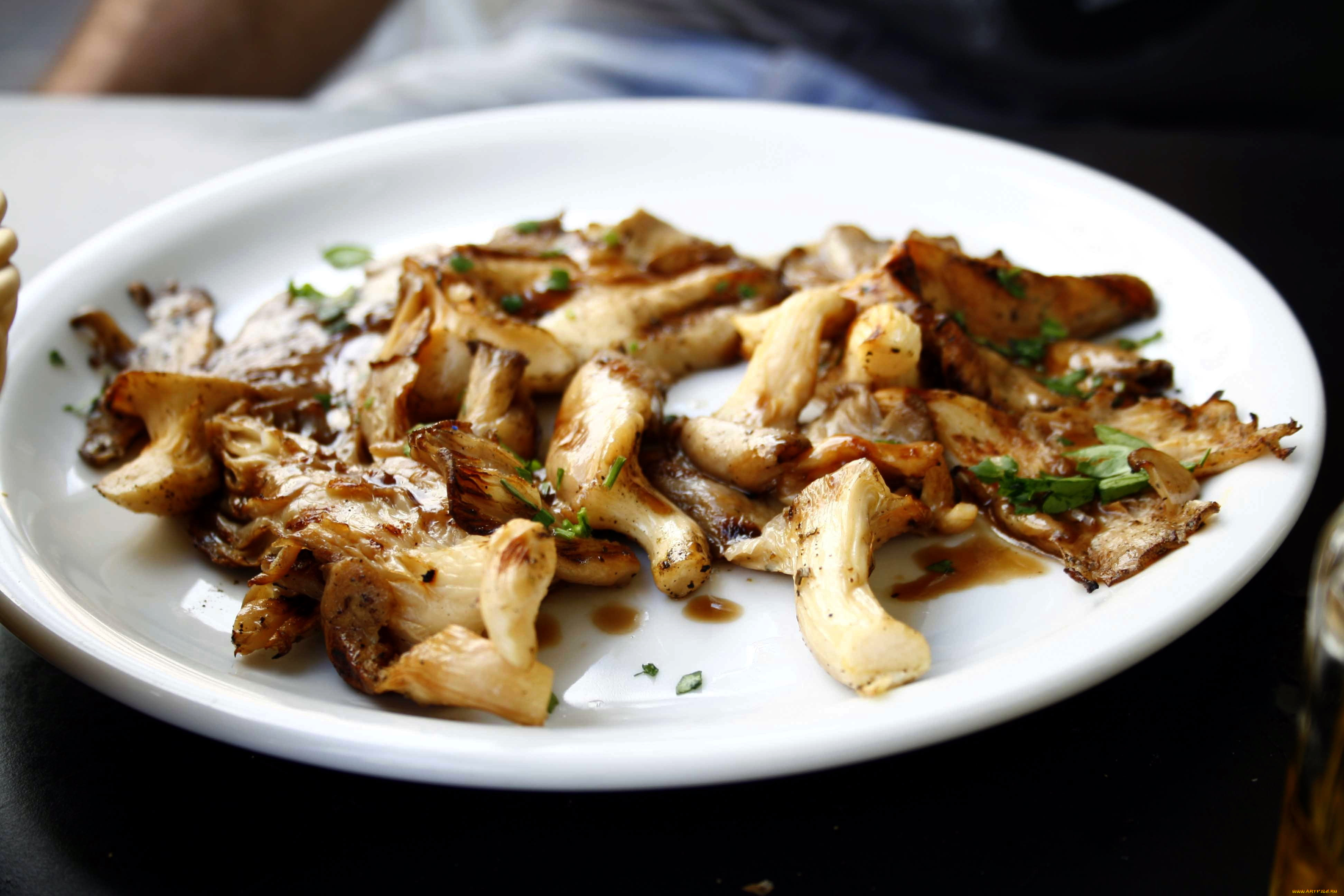 еда, грибы, , грибные, блюда, грибное, жаркое