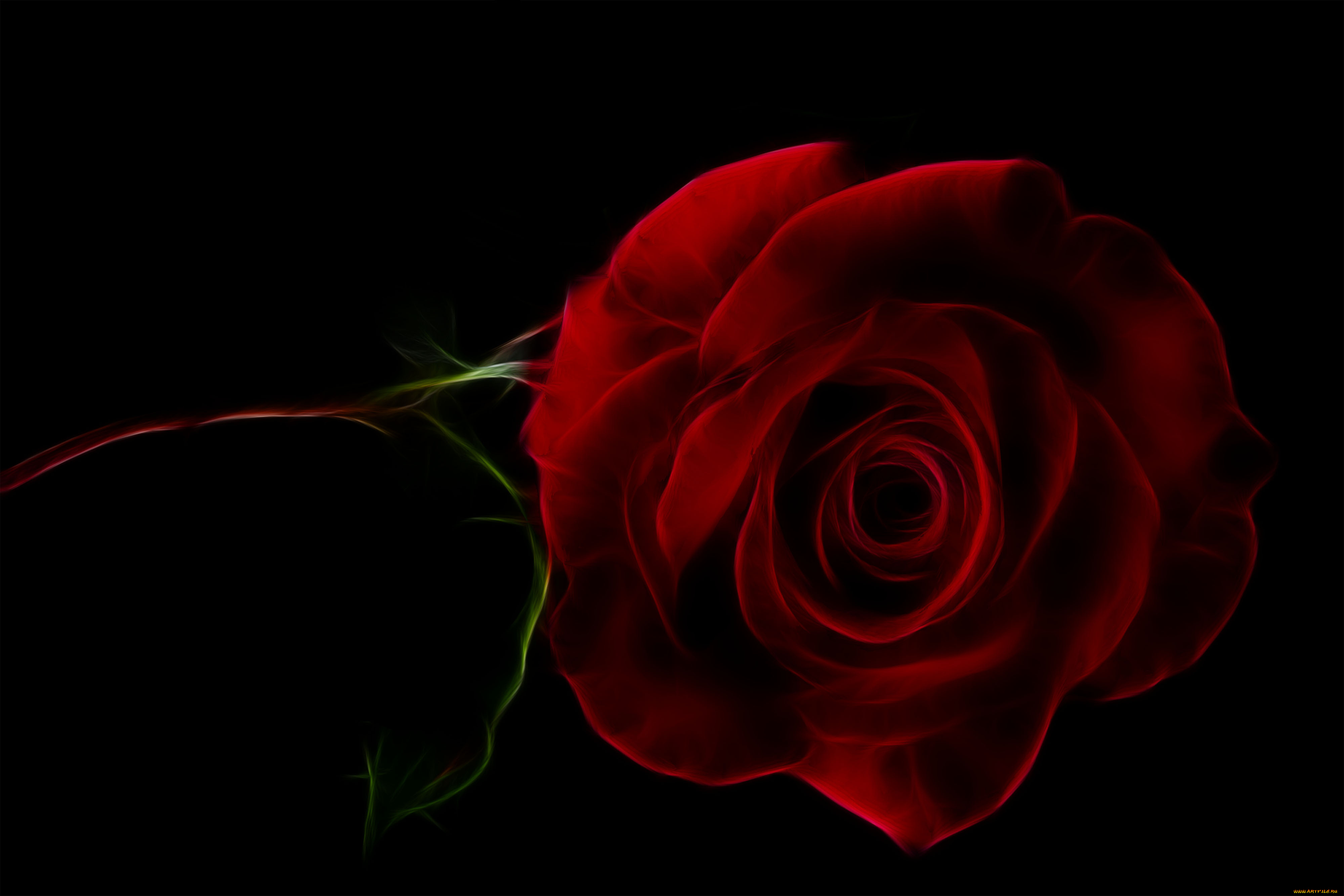 разное, компьютерный, дизайн, роза, фон