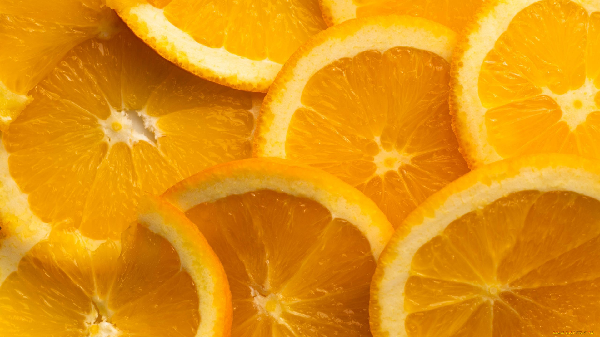 еда, цитрусы, апельсины