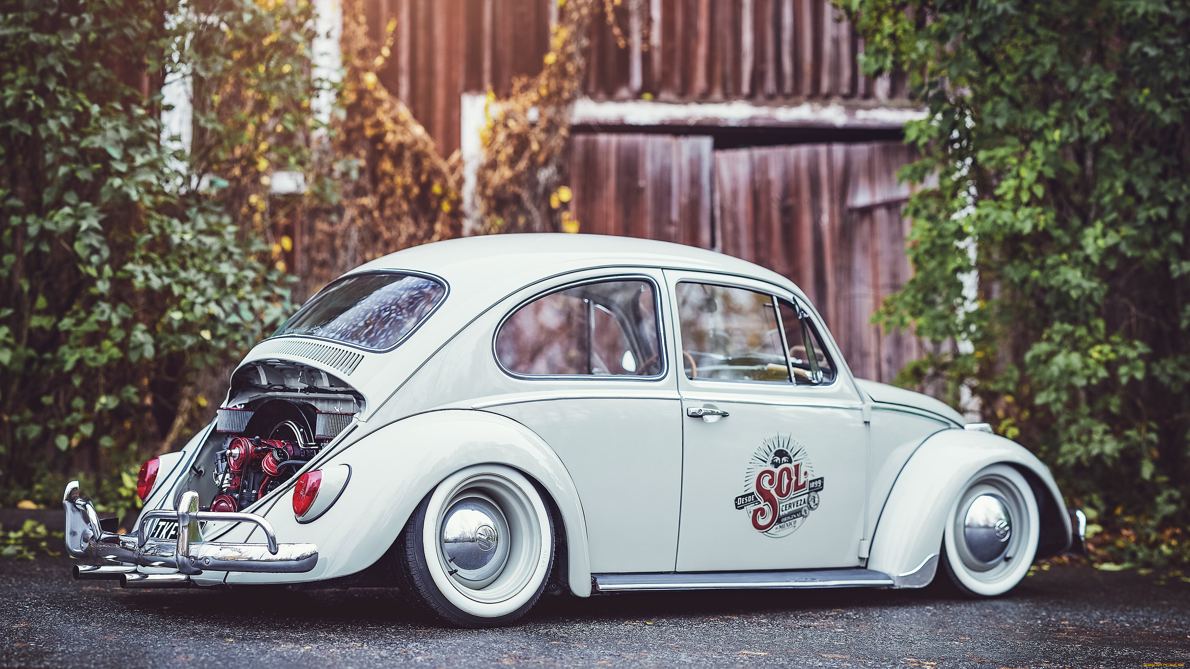 автомобили, volkswagen, beetle