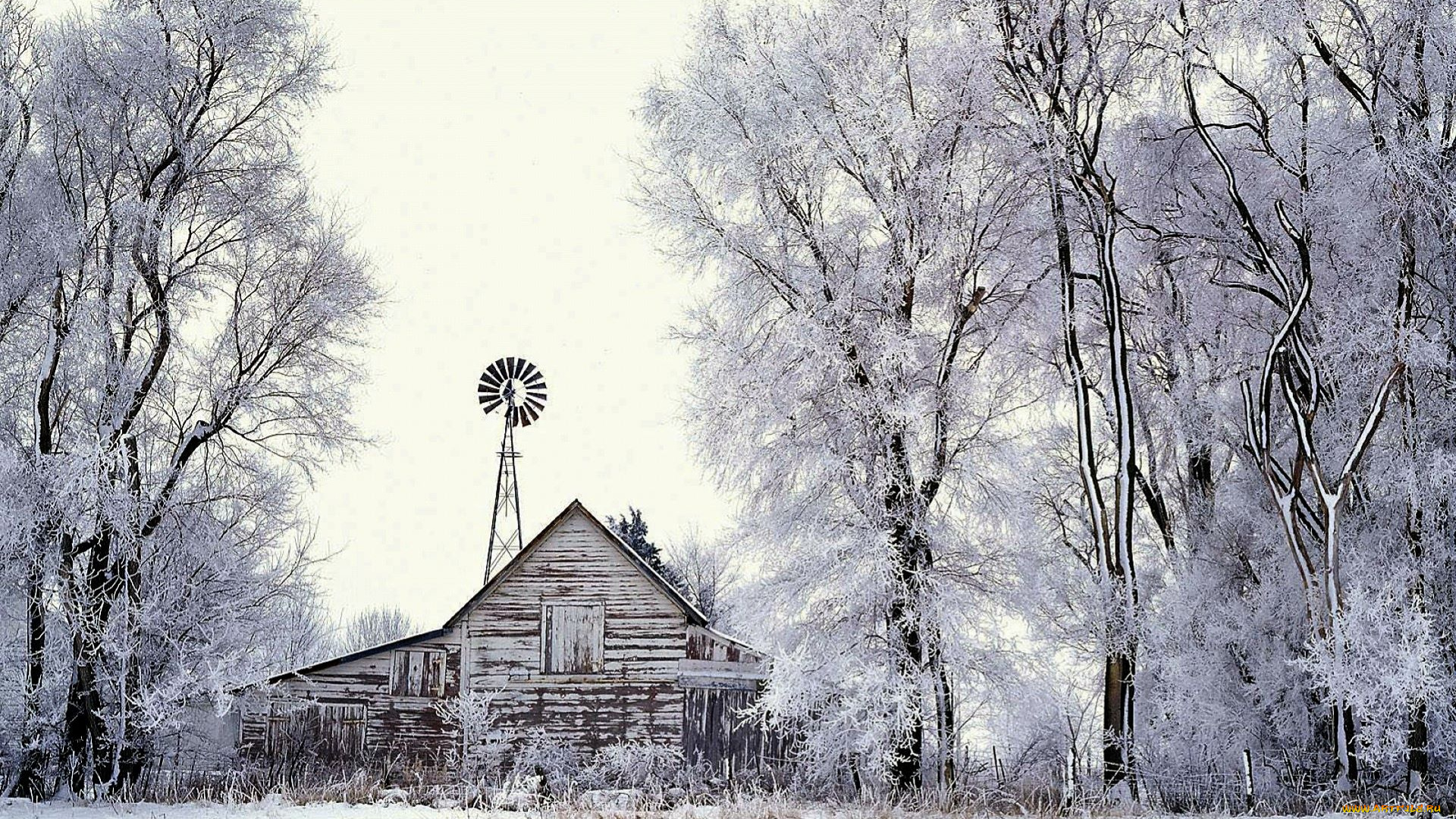 разное, сооружения, , постройки, дом, деревья, поле, снег