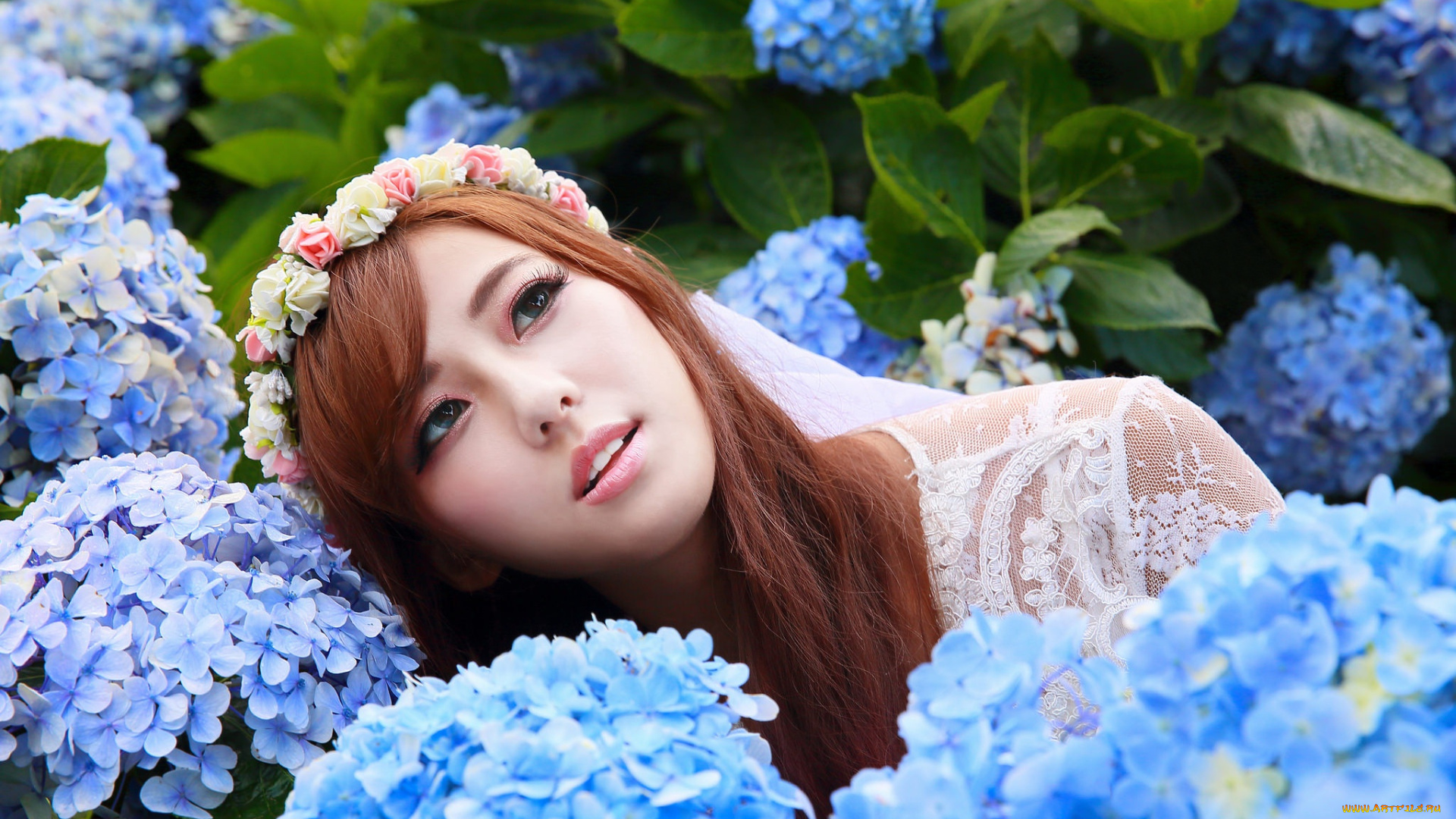 девушки, -, азиатки, лицо, рыжая, венок, гортензии