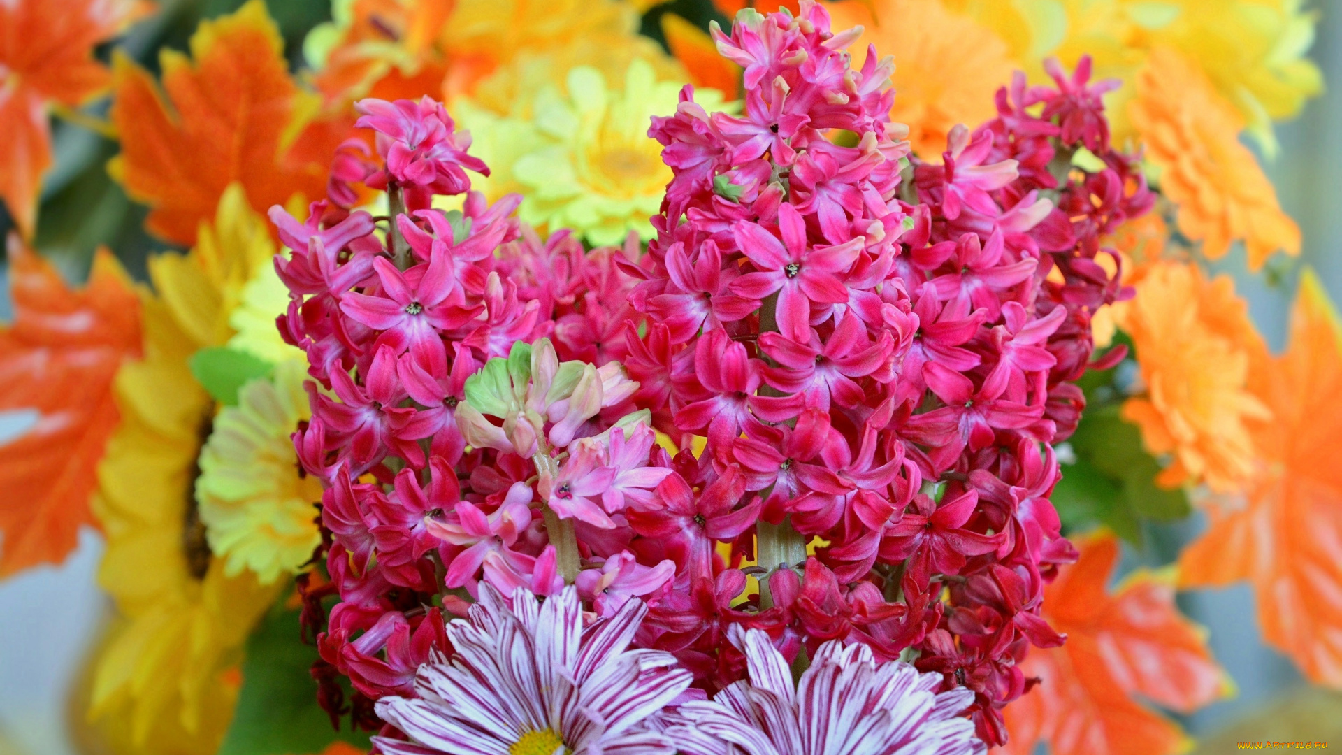 цветы, разные, вместе