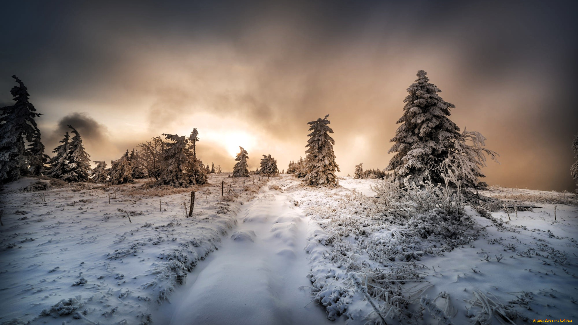 природа, дороги, деревья, снег, зима, дорога