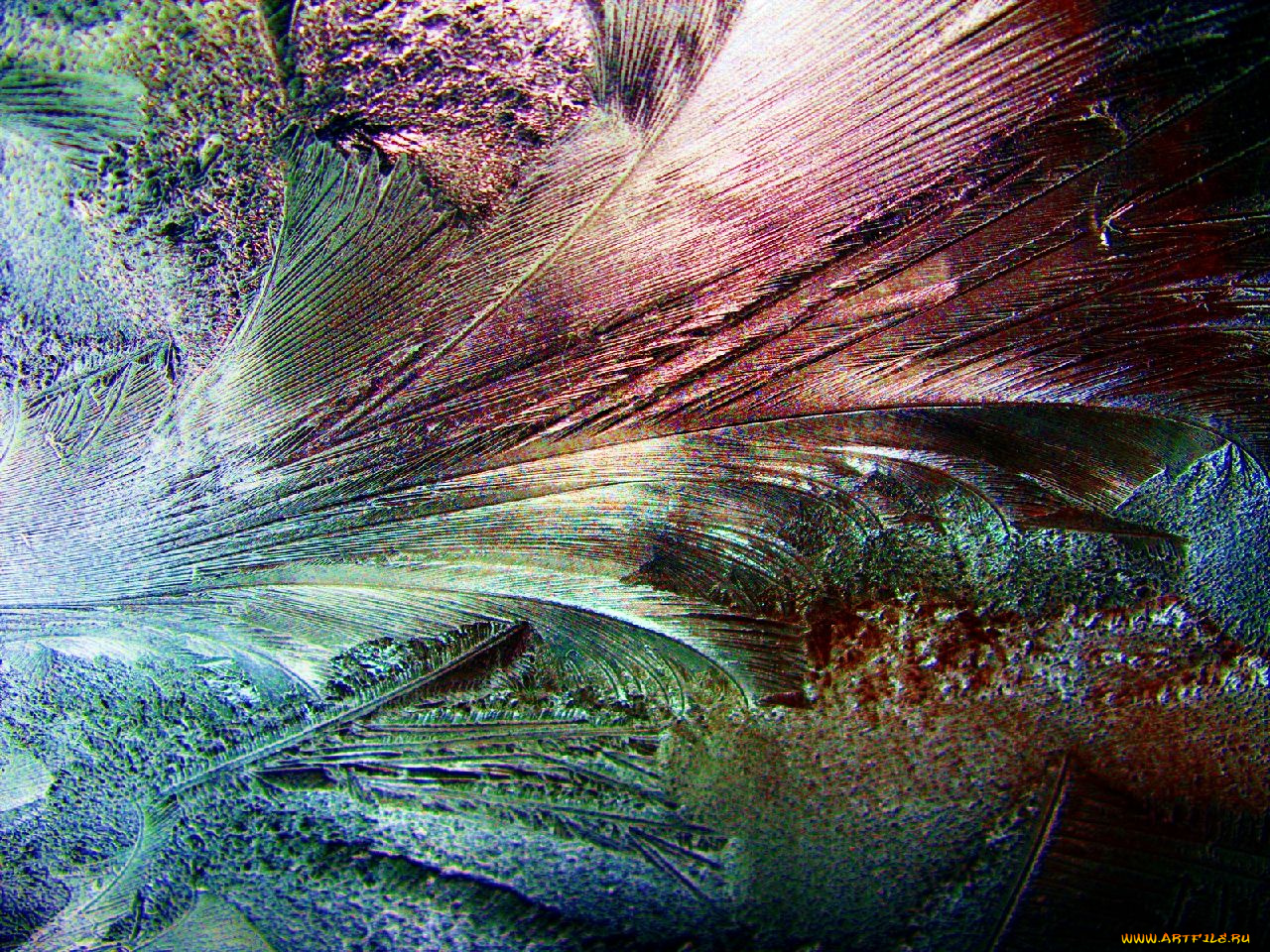 природа, макро