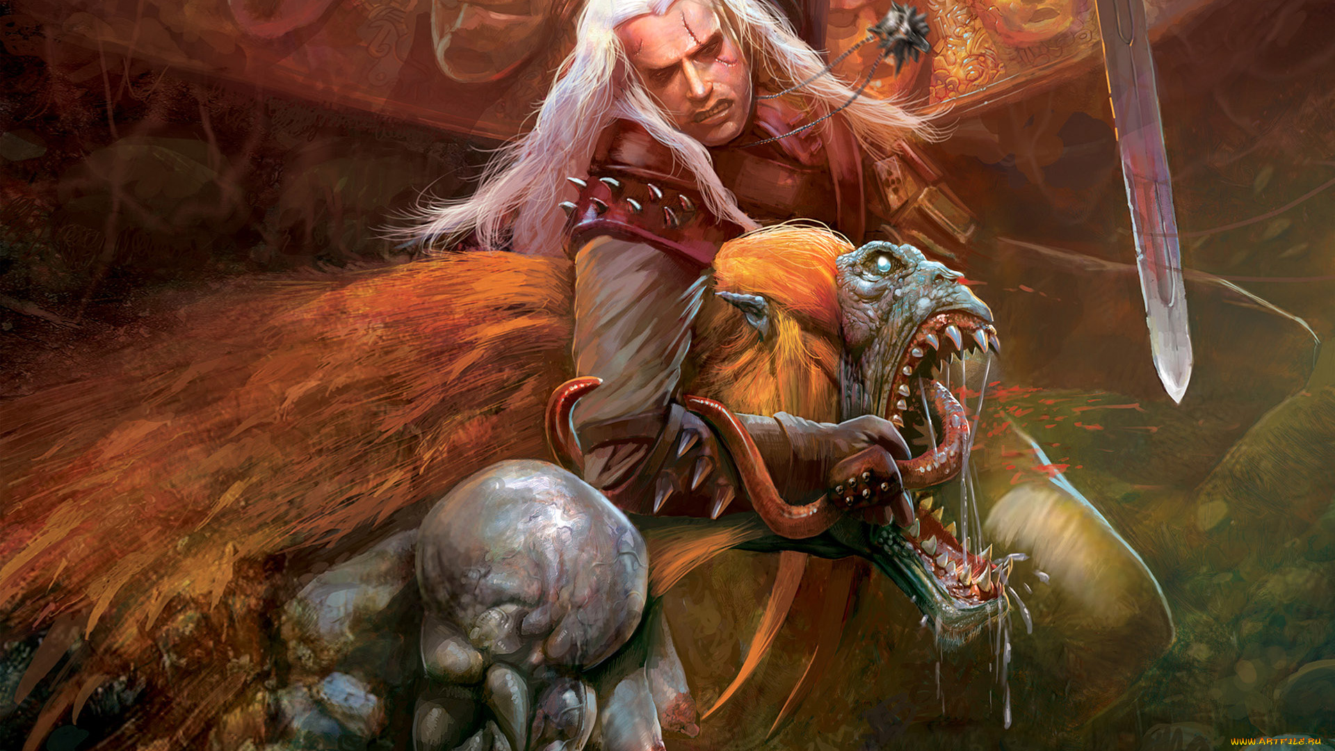 видео, игры, the, witcher