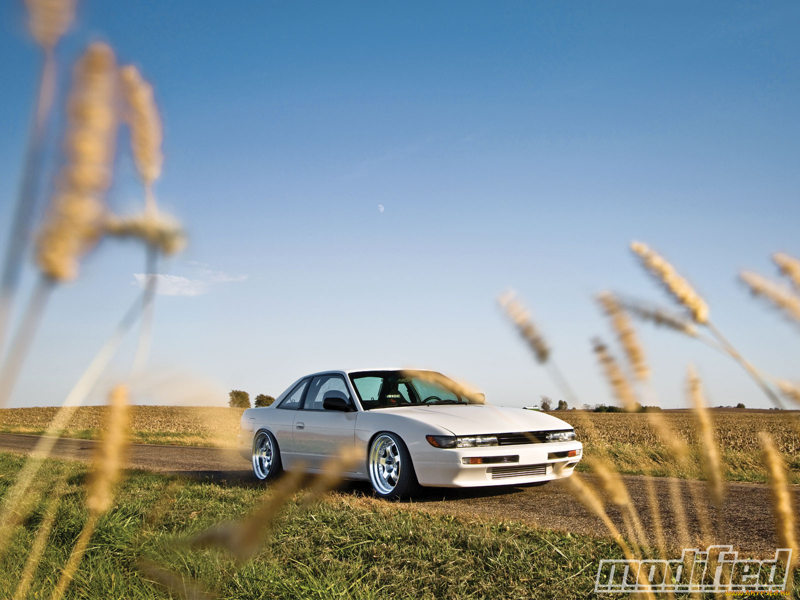 автомобили, nissan, datsun