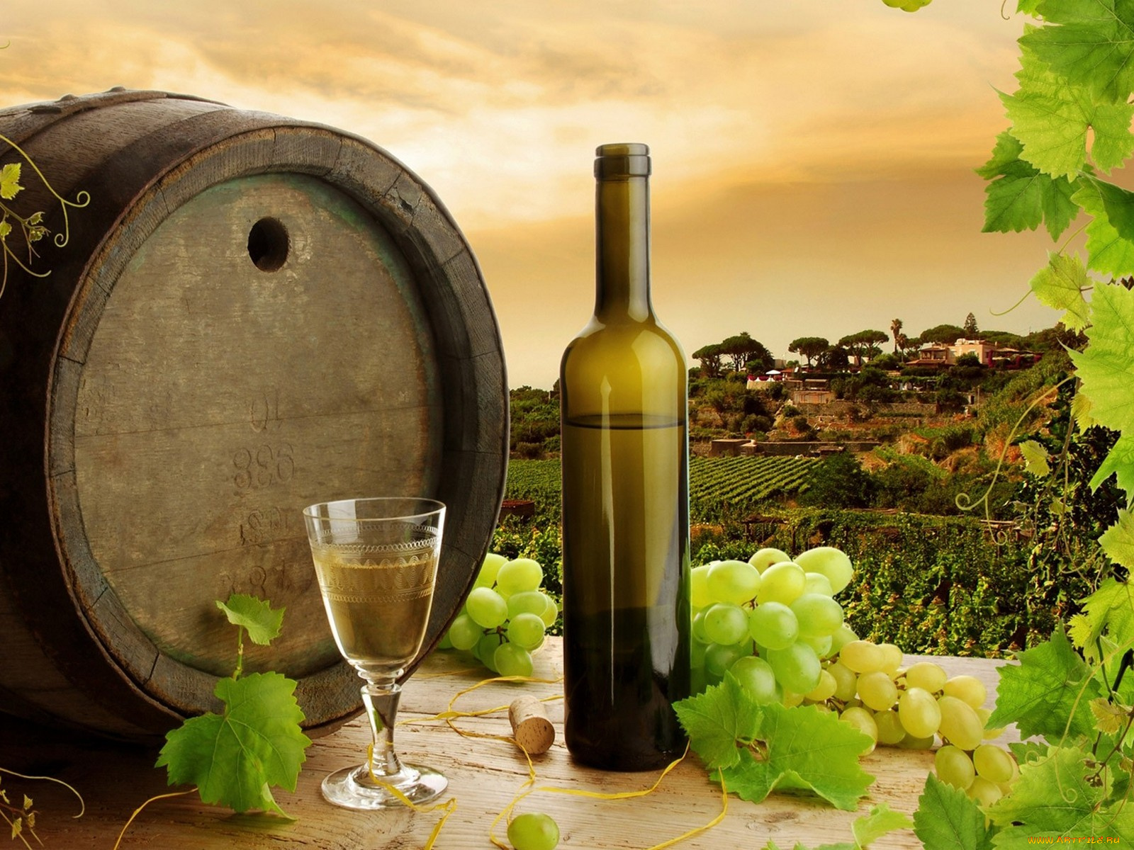 еда, напитки, вино