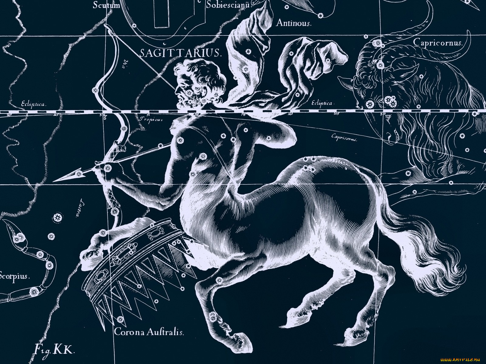 разное, знаки, зодиака