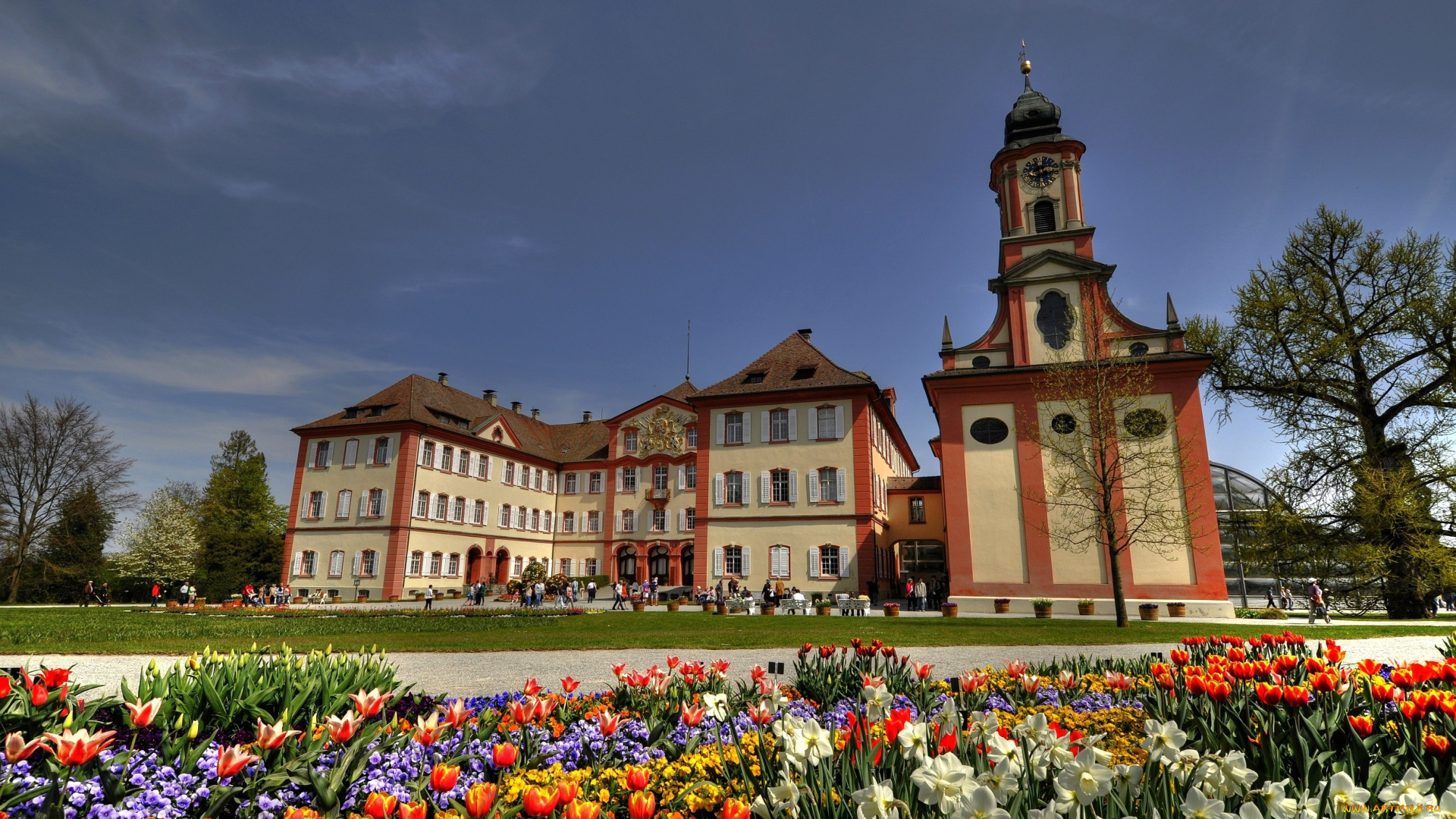 германия, города, здания, дома, ратуша, площадь, часы, цветы