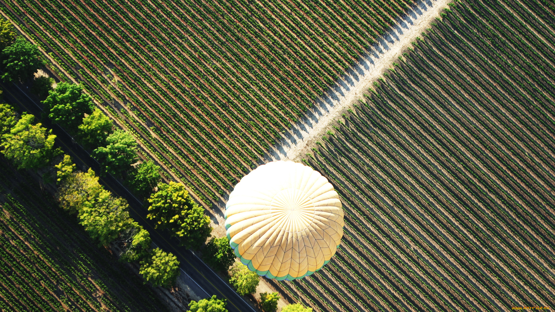 природа, поля