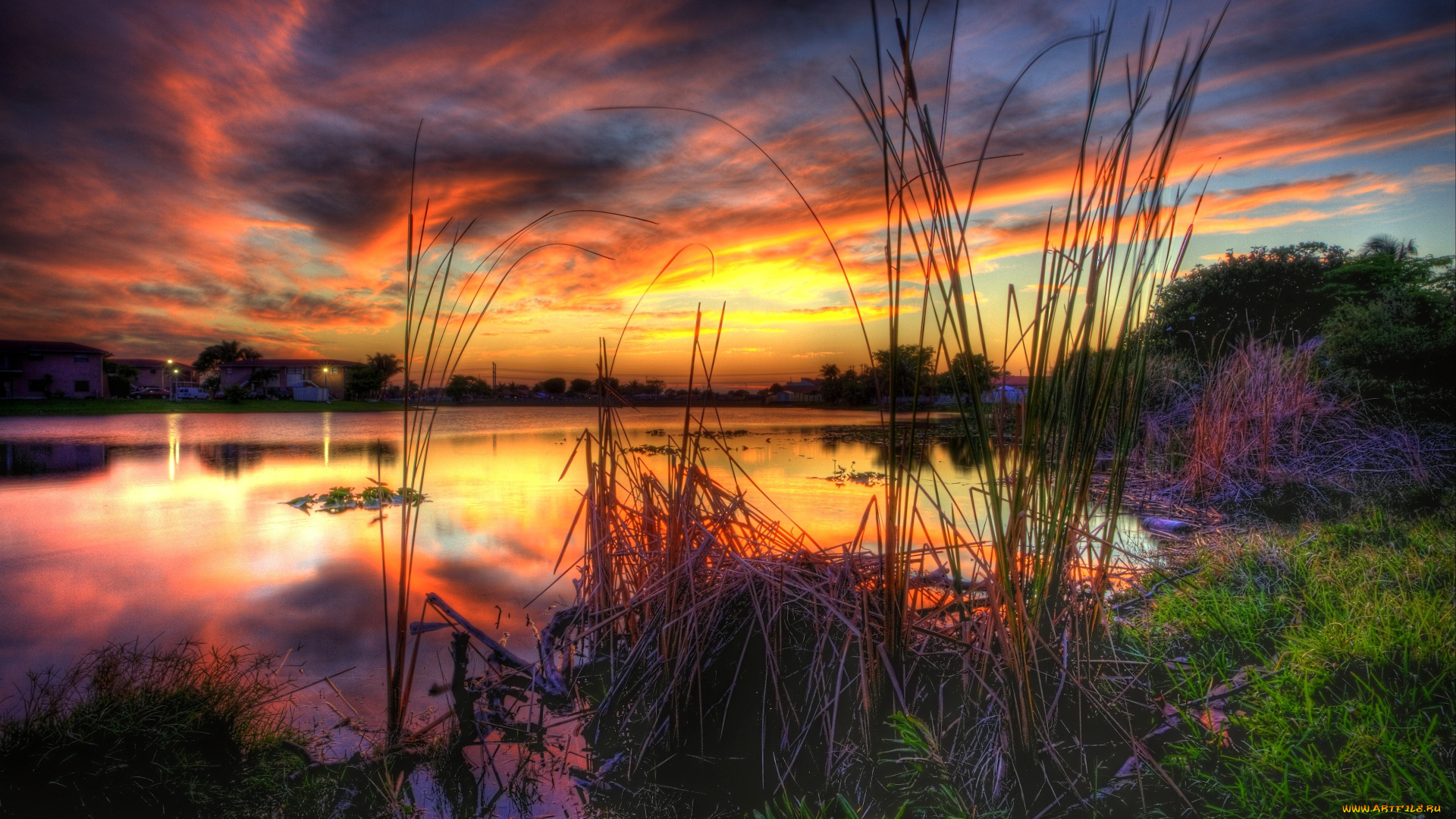 природа, восходы, закаты, вода, небо, камыши, ночь