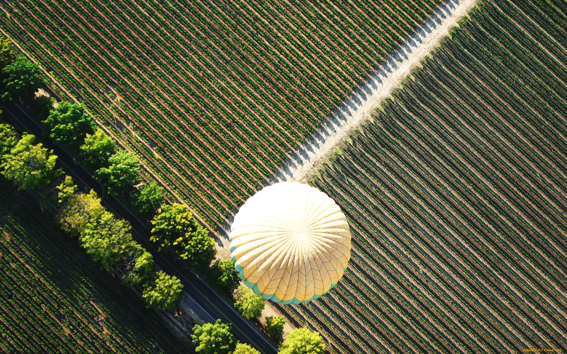 природа, поля