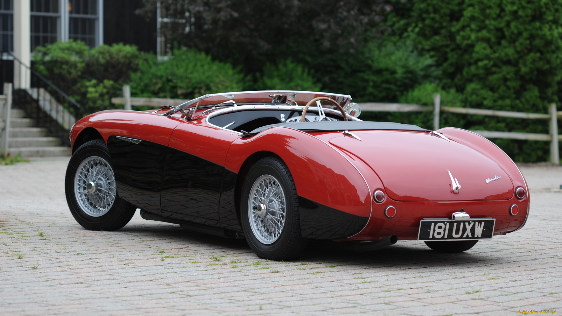 автомобили, austin, healy, 1954