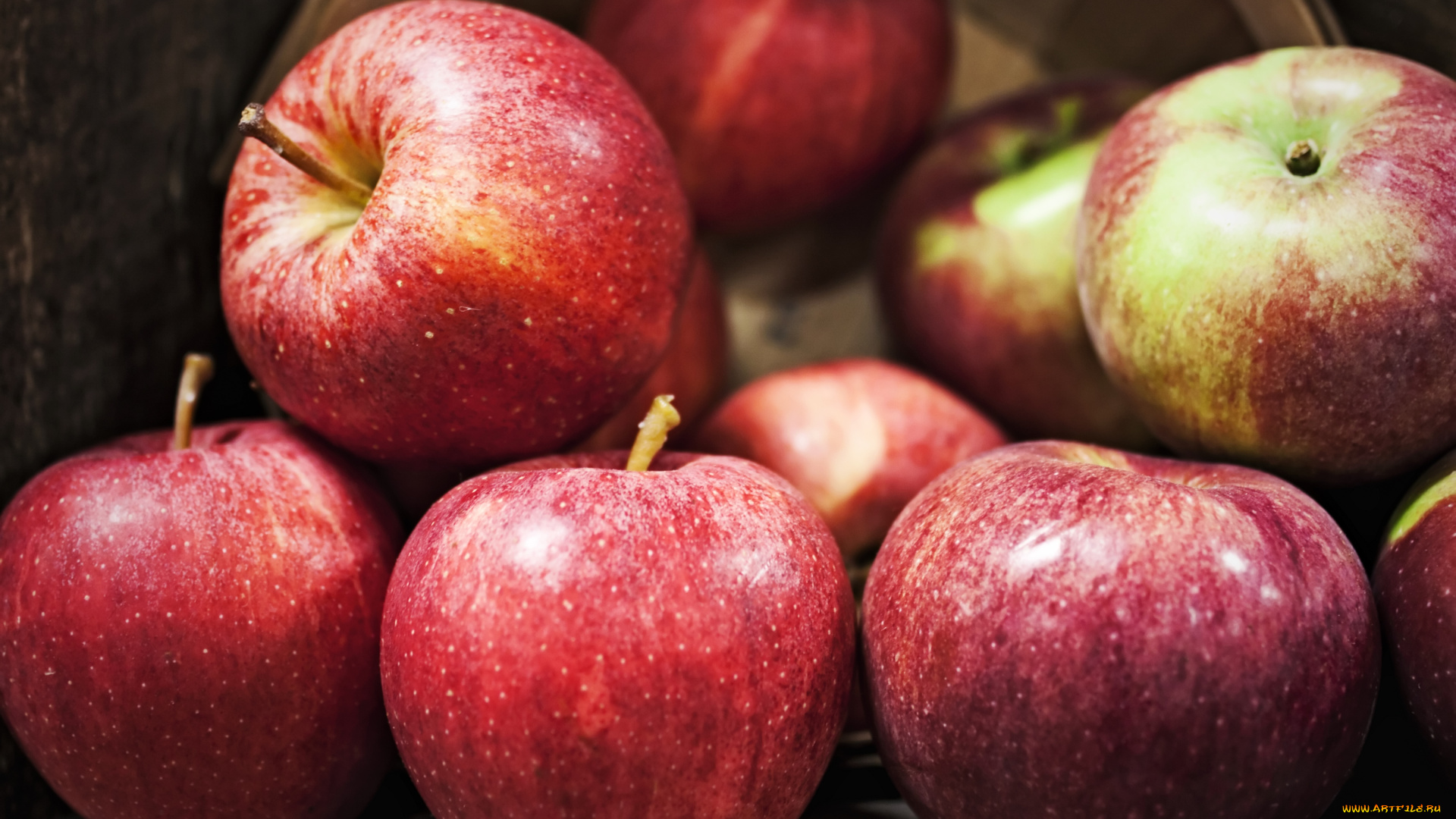 еда, Яблоки, красный, аппетитный