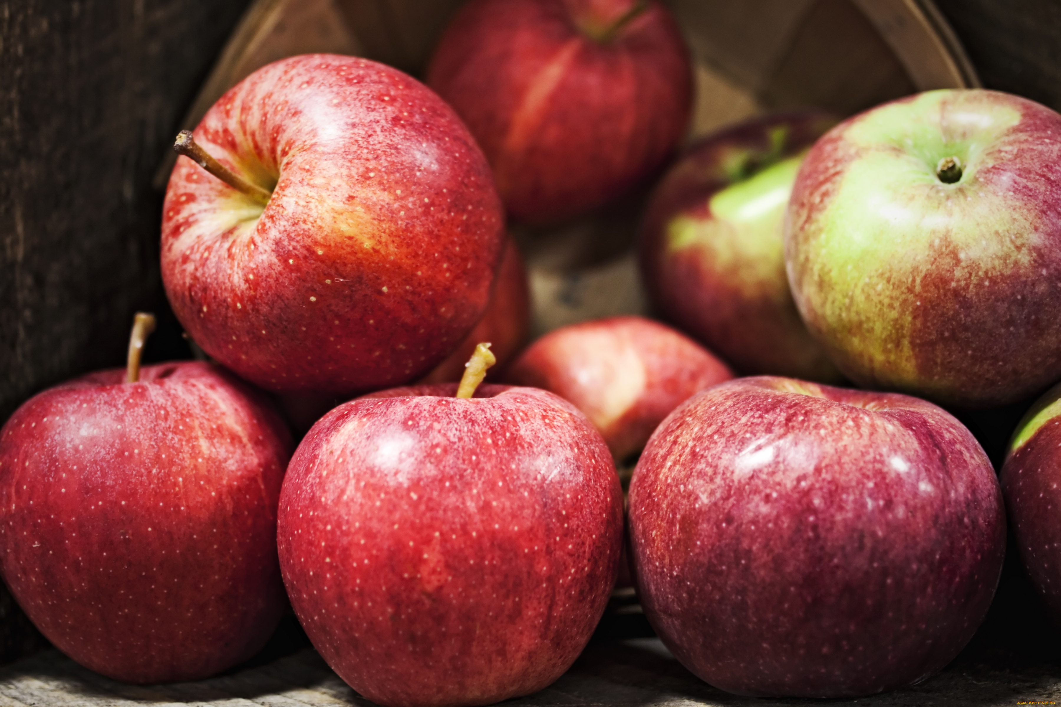 еда, Яблоки, красный, аппетитный