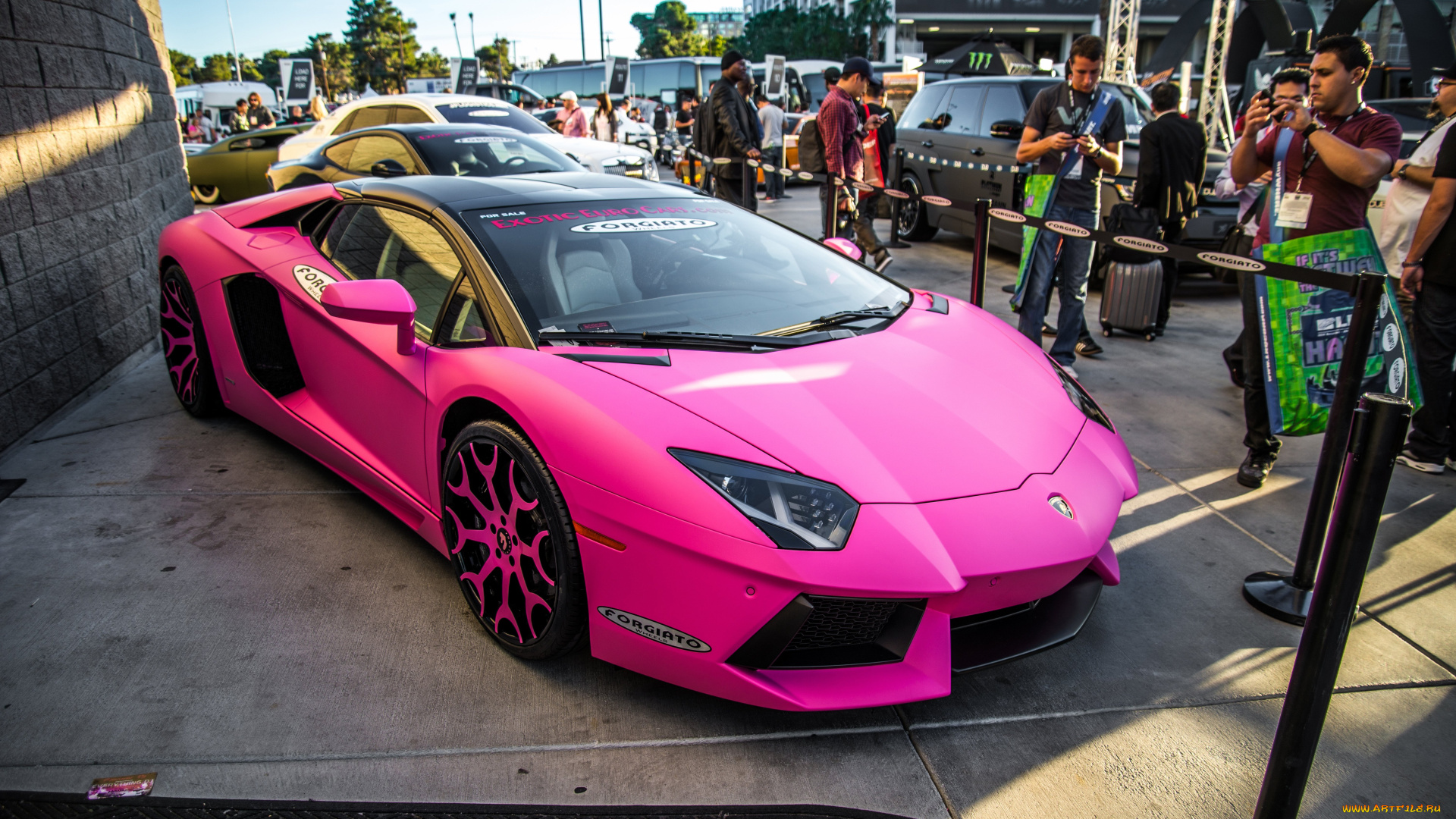 автомобили, выставки, и, уличные, фото, lamborghini, розовый