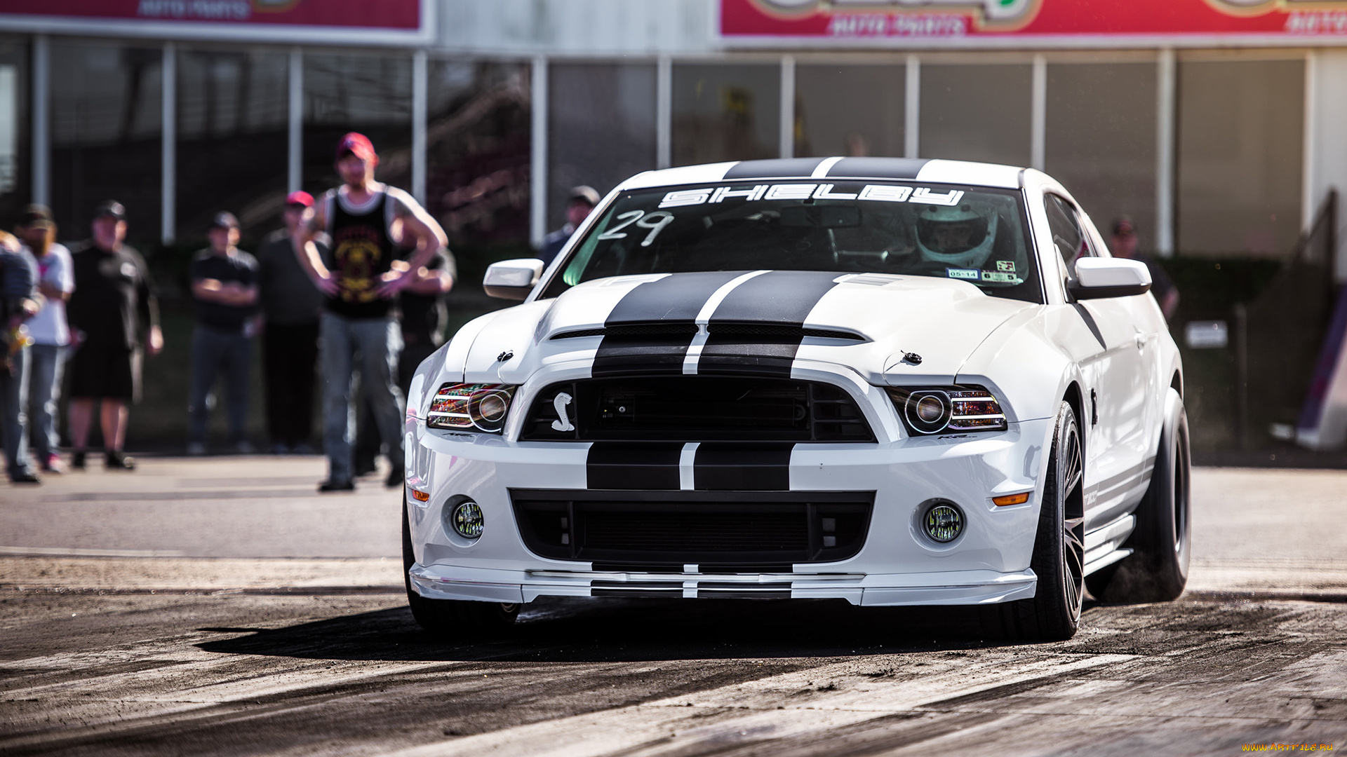 автомобили, выставки, и, уличные, фото, shelby, mustang, белый