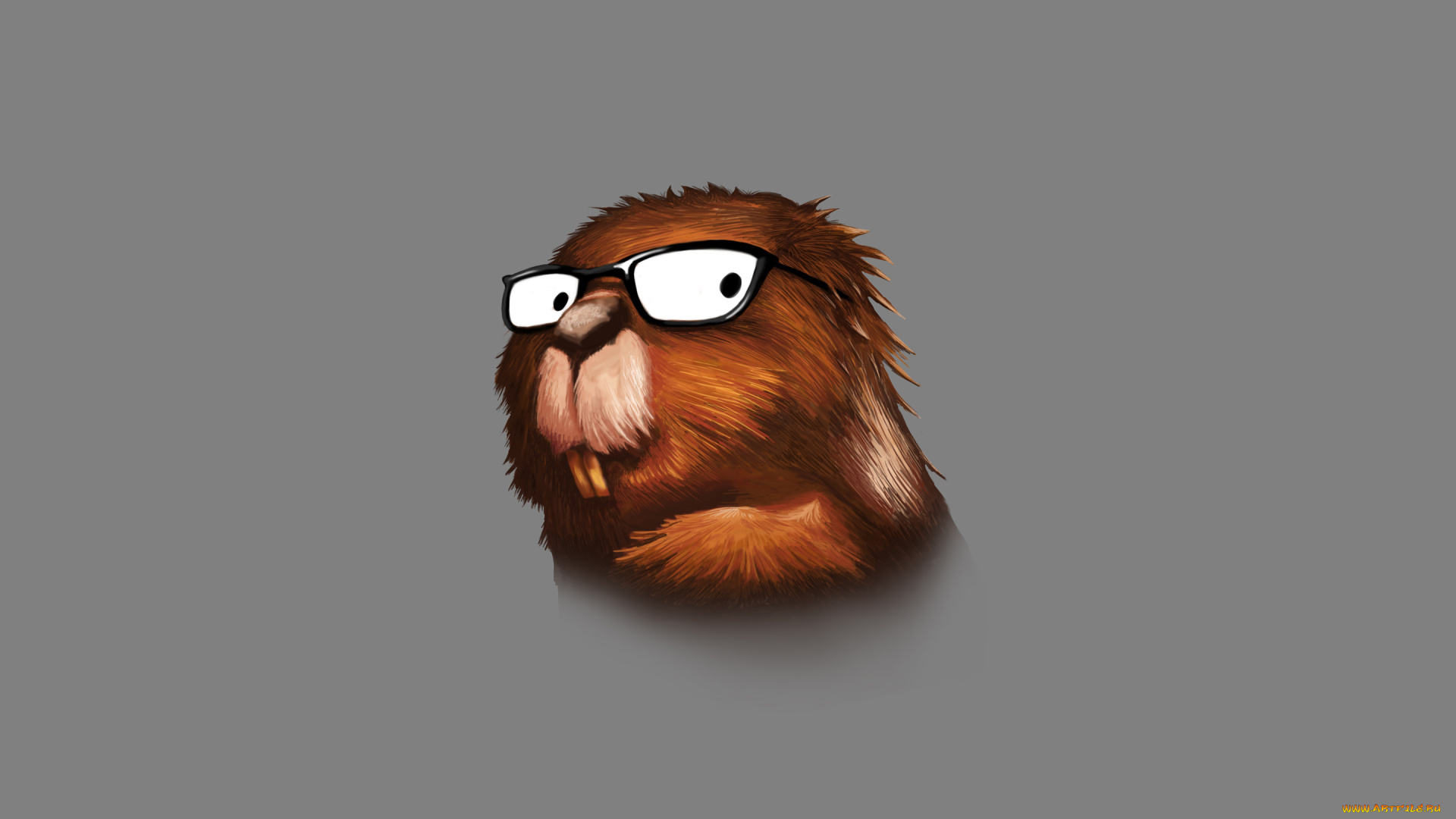 бобер, очкарик, рисованные, минимализм, очки, бобер, beaver