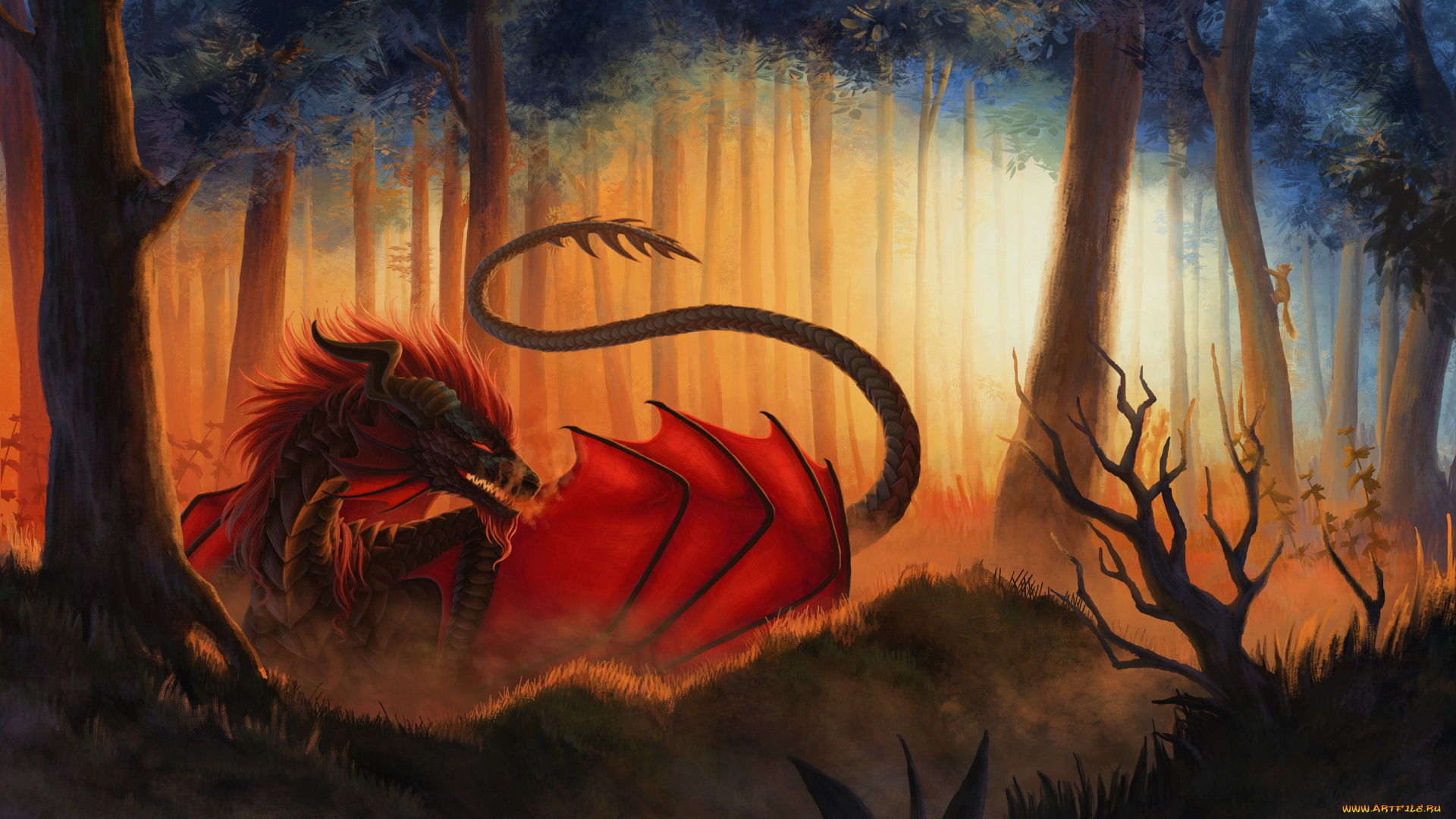 фэнтези, драконы, дракон, лес, белка, трава