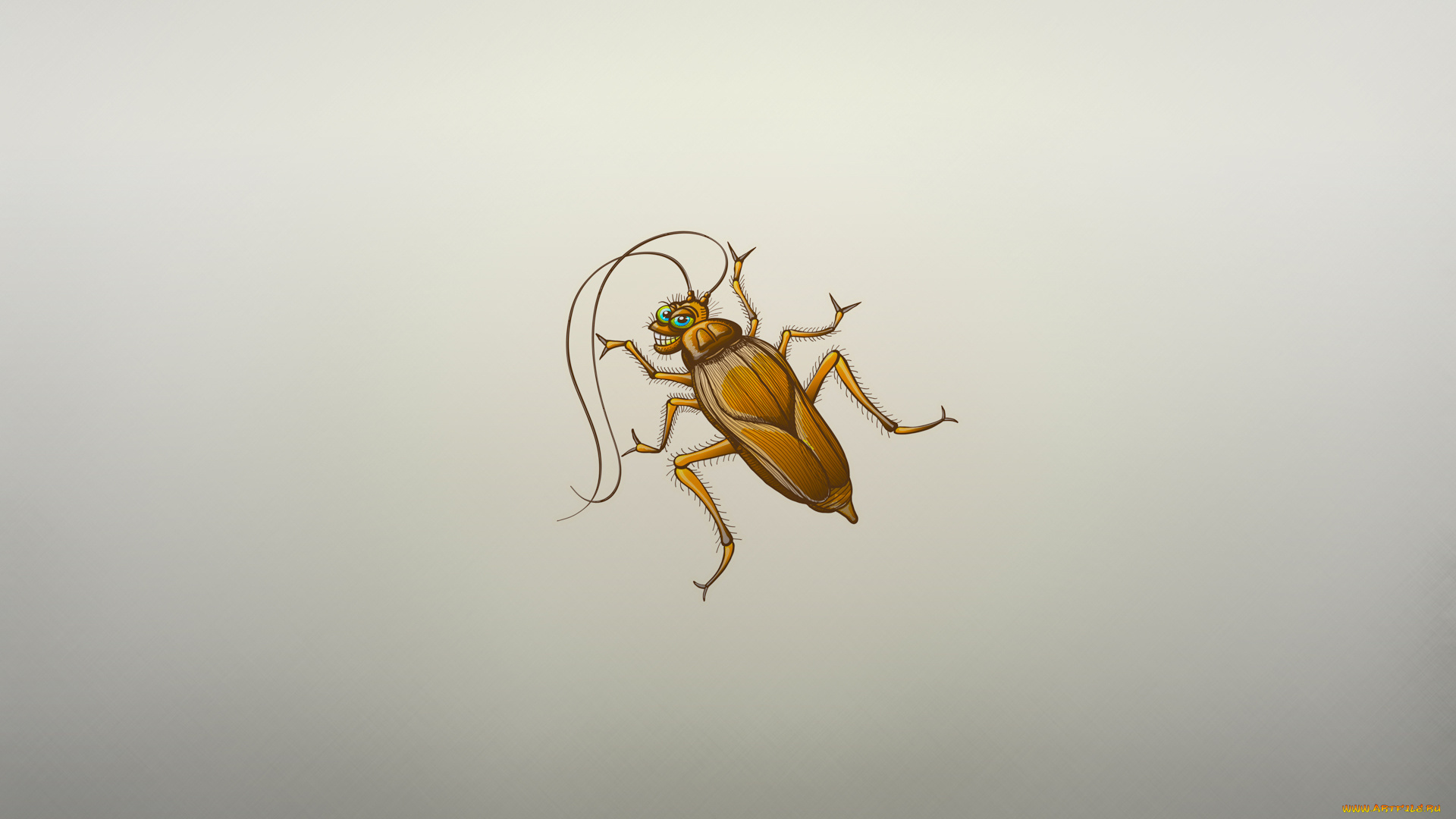рисованные, минимализм, усы, таракан