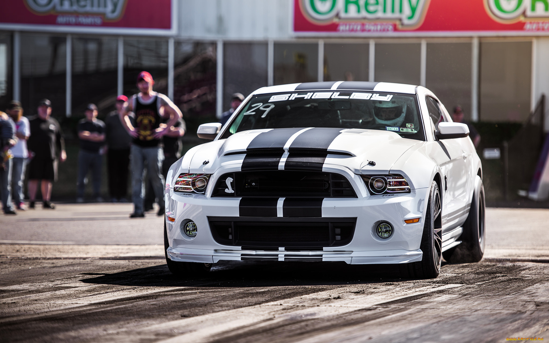 автомобили, выставки, и, уличные, фото, shelby, mustang, белый