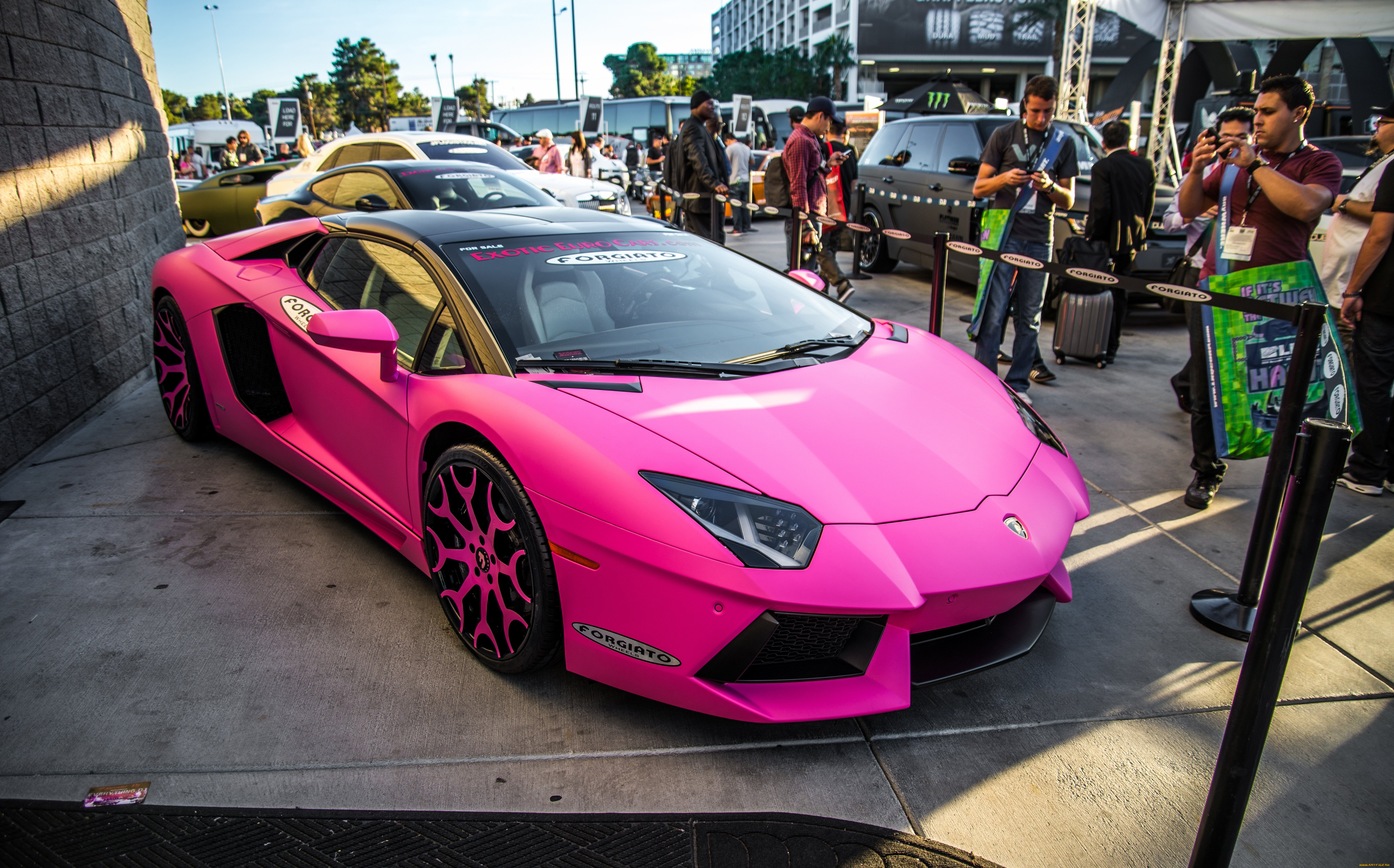 автомобили, выставки, и, уличные, фото, lamborghini, розовый