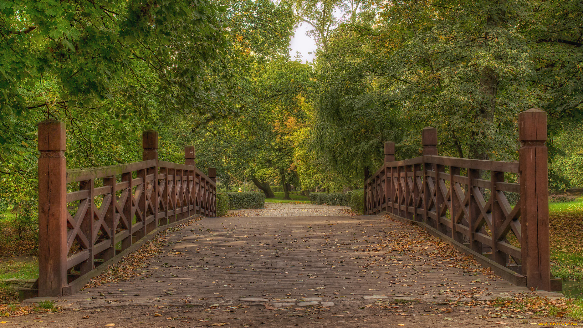 природа, дороги, дорожка, мостик, парк