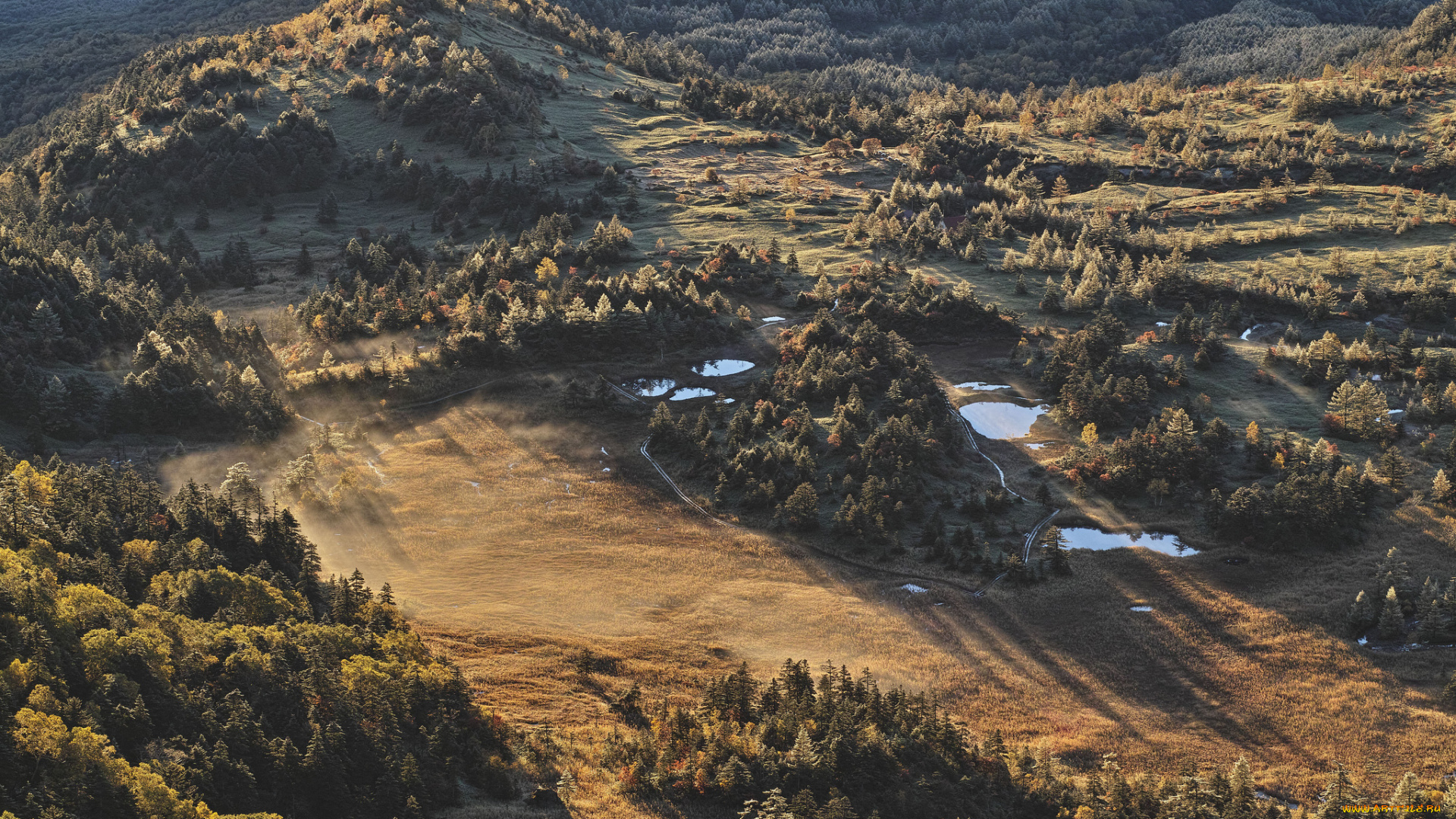 природа, лес, вода, утро, деревья, вид, сверху, takaten, солнечно, туман