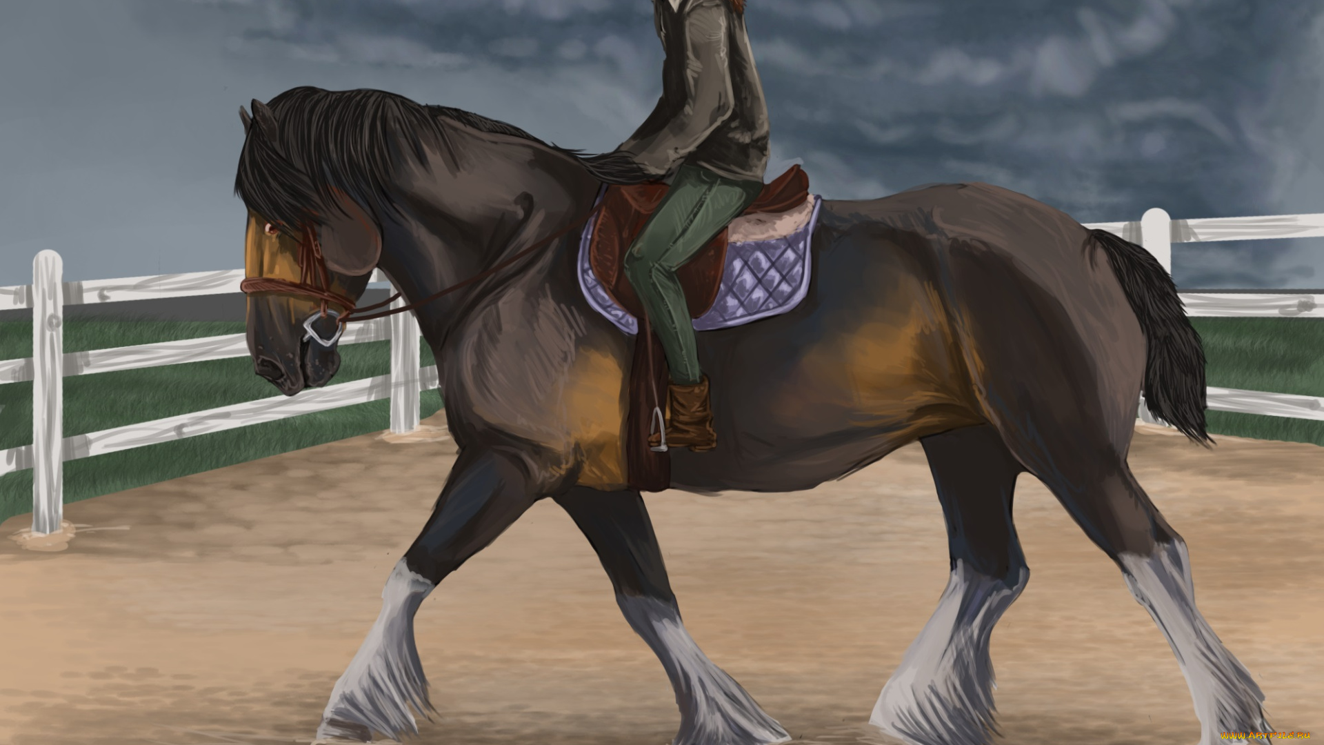 рисованное, животные, , лошади, всадник, лошадь