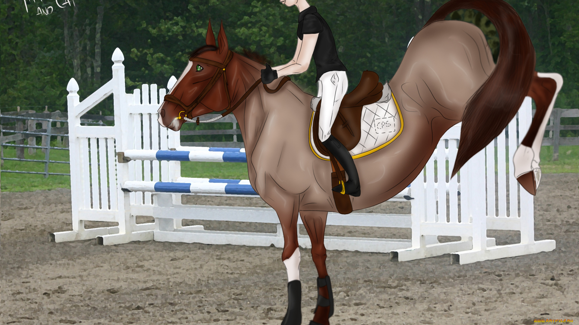 рисованное, животные, , лошади, жокей, лошадь, ипподром, скачки