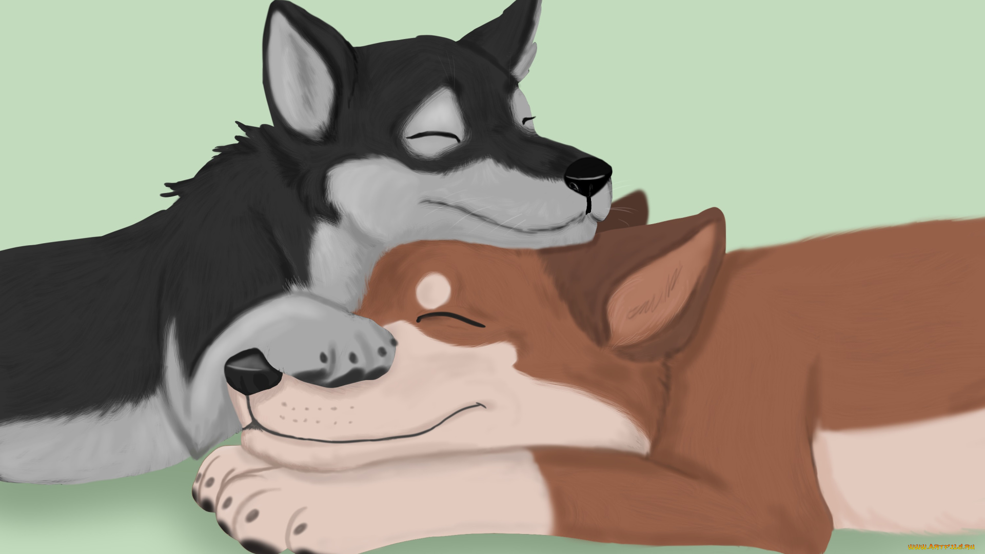 рисованное, животные, , собаки, отдых, фон, собаки