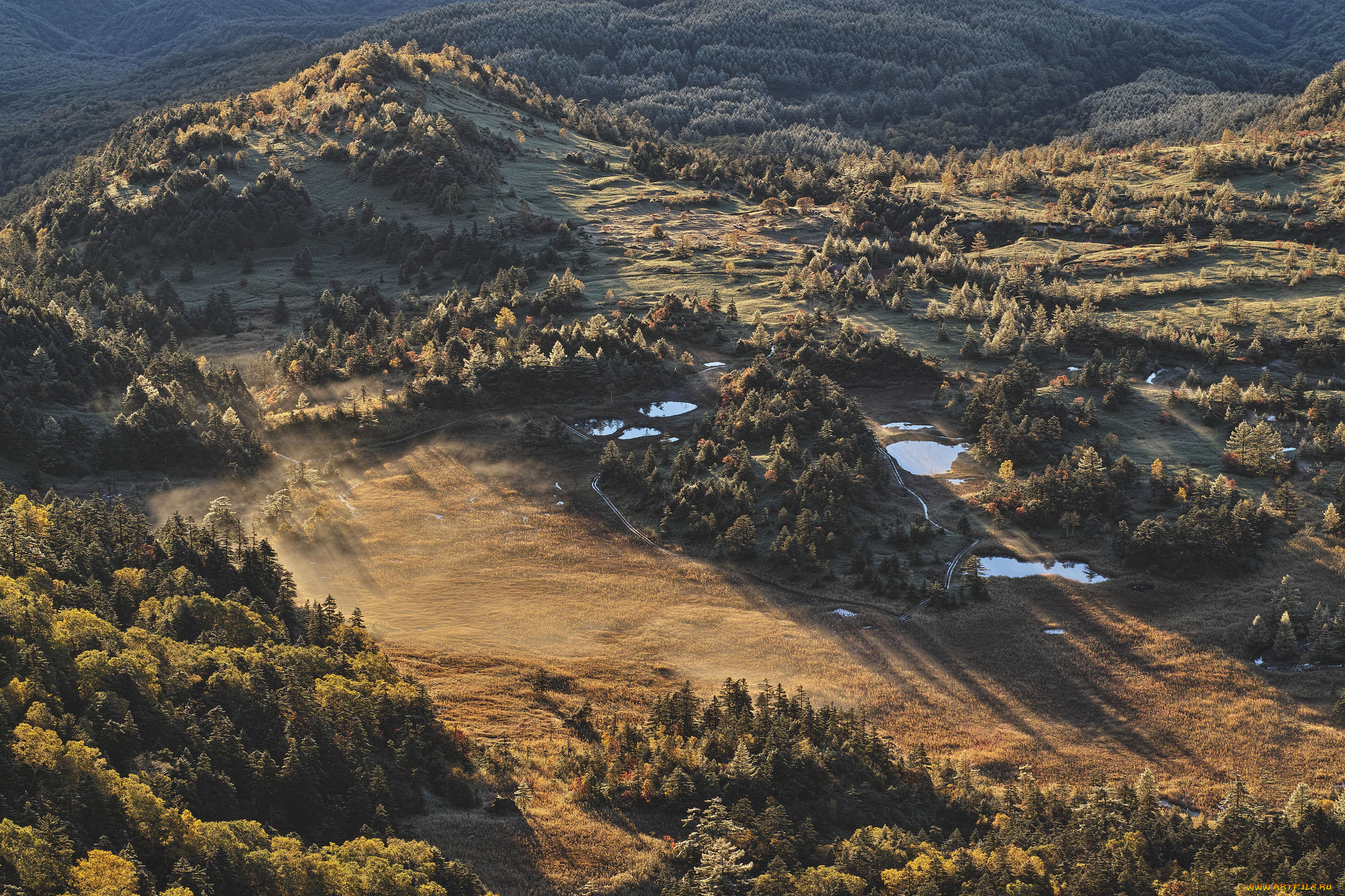 природа, лес, вода, утро, деревья, вид, сверху, takaten, солнечно, туман