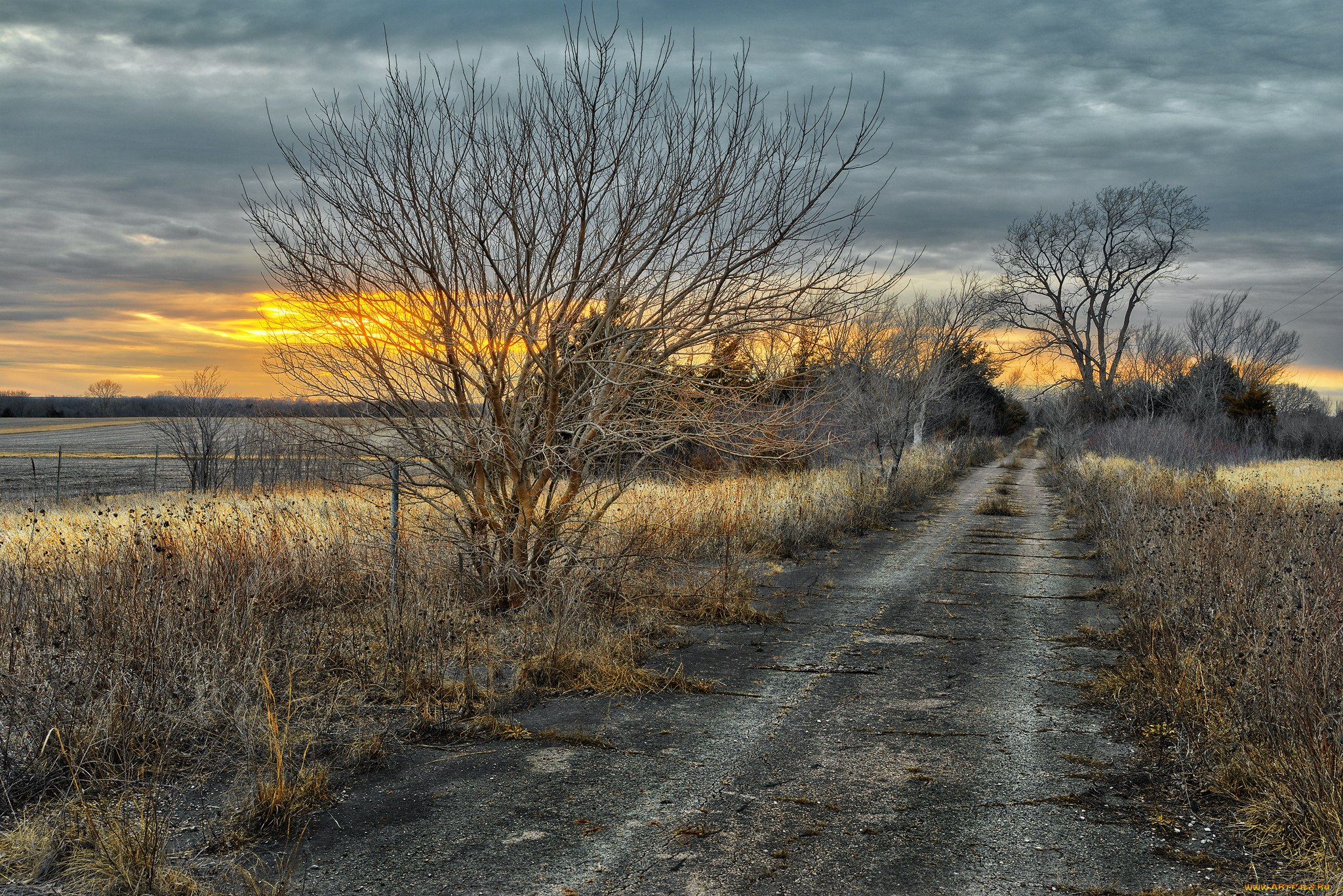 природа, дороги, тракт, трава, поле