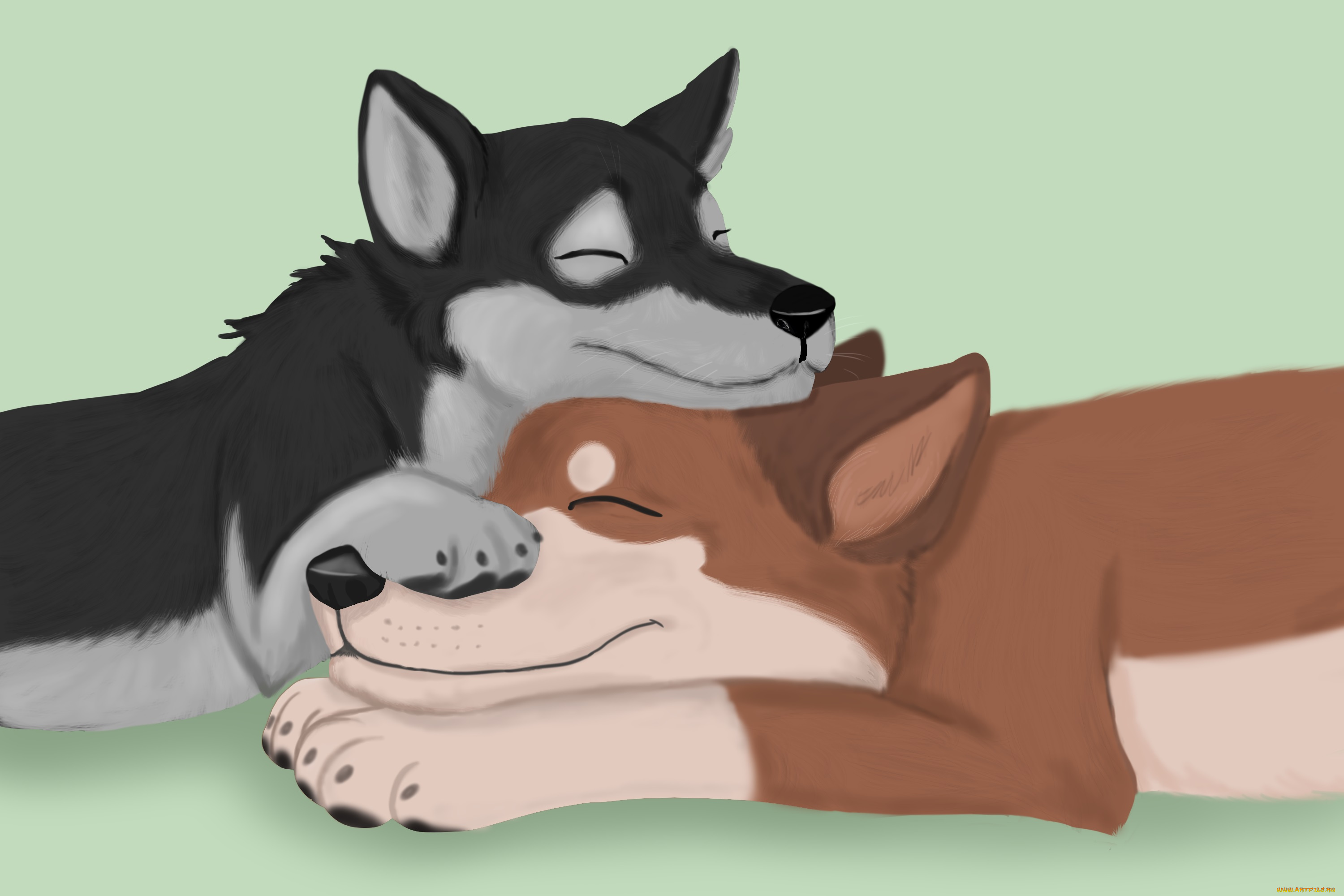 рисованное, животные, , собаки, отдых, фон, собаки