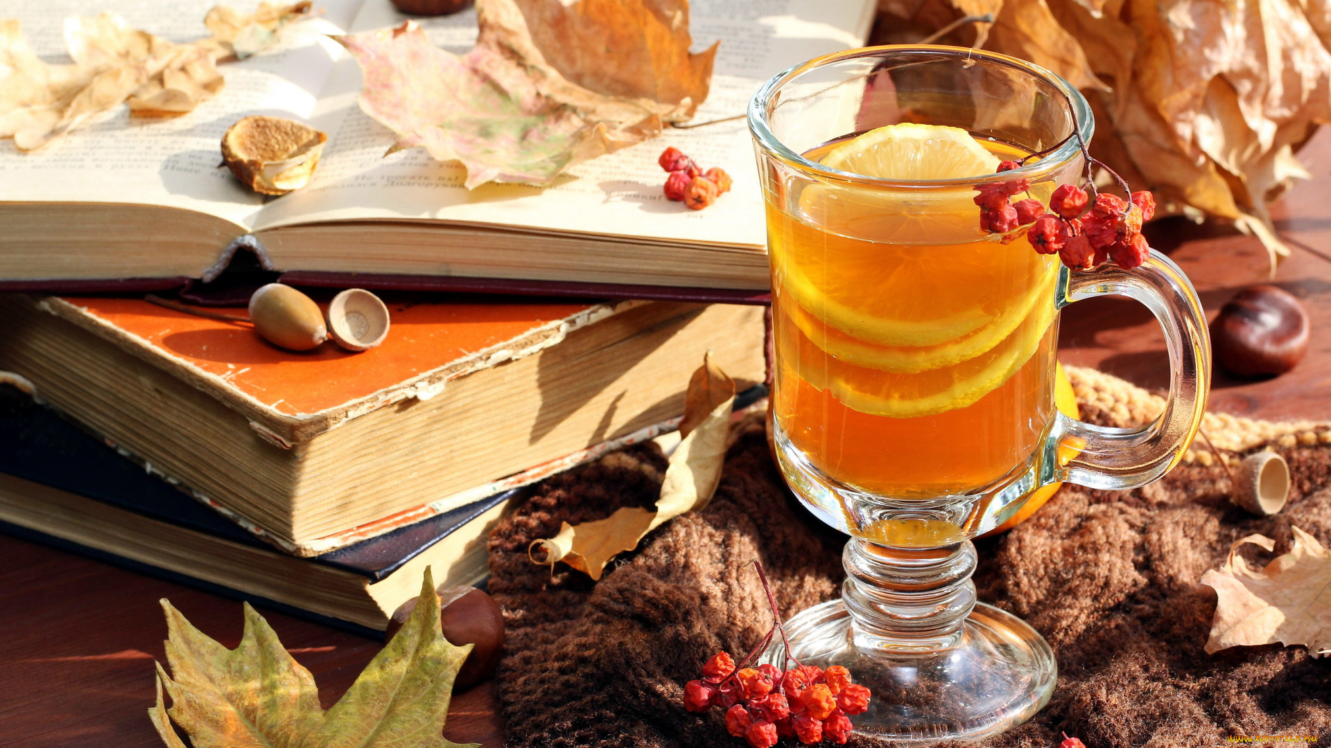 еда, напитки, рябина, листья