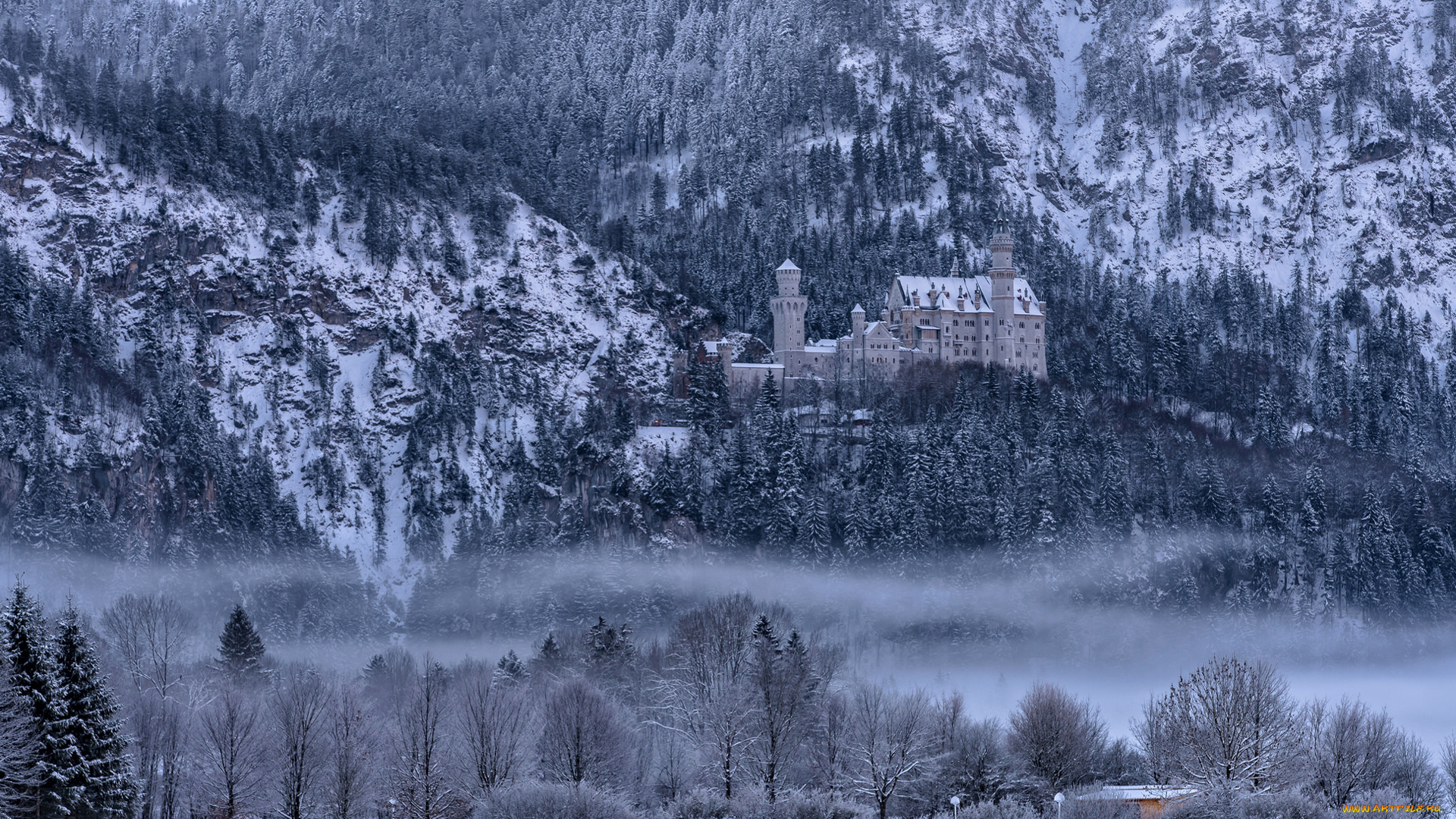 города, замки, германии, снег, туман, зима, замок, нойшванштайн, бавария, германия, деревья, горы
