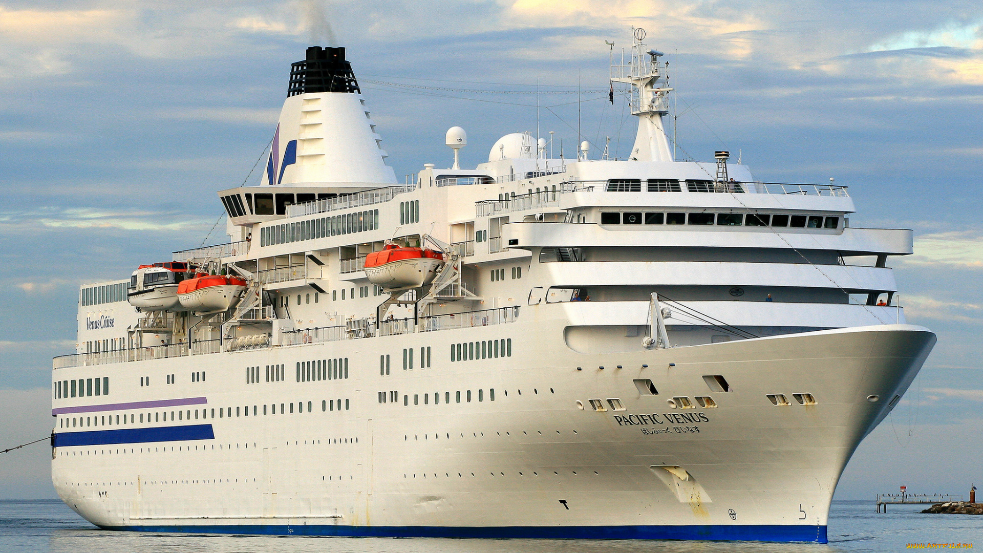 pacific, venus, корабли, лайнеры, круиз, лайнер