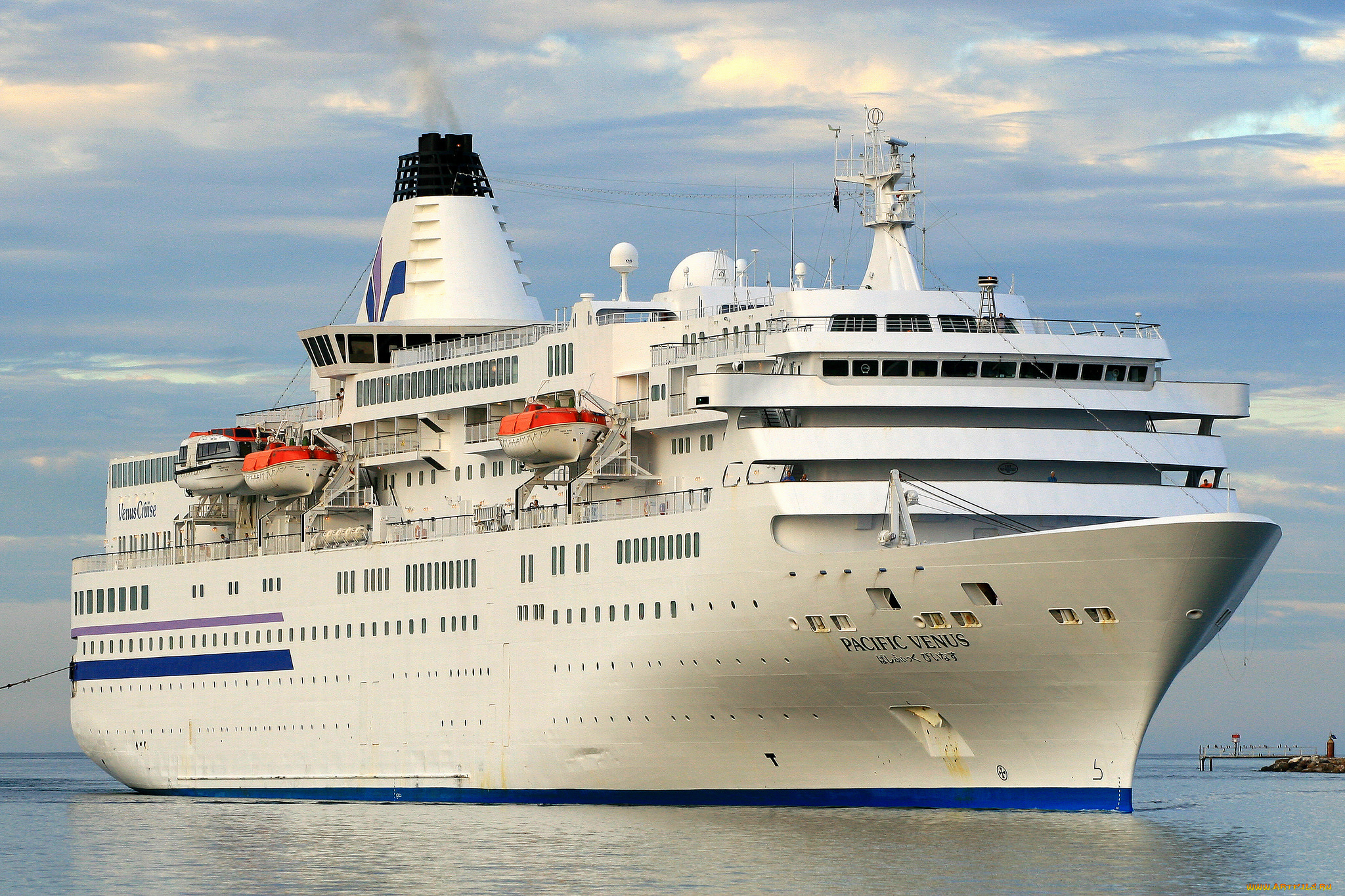 pacific, venus, корабли, лайнеры, круиз, лайнер
