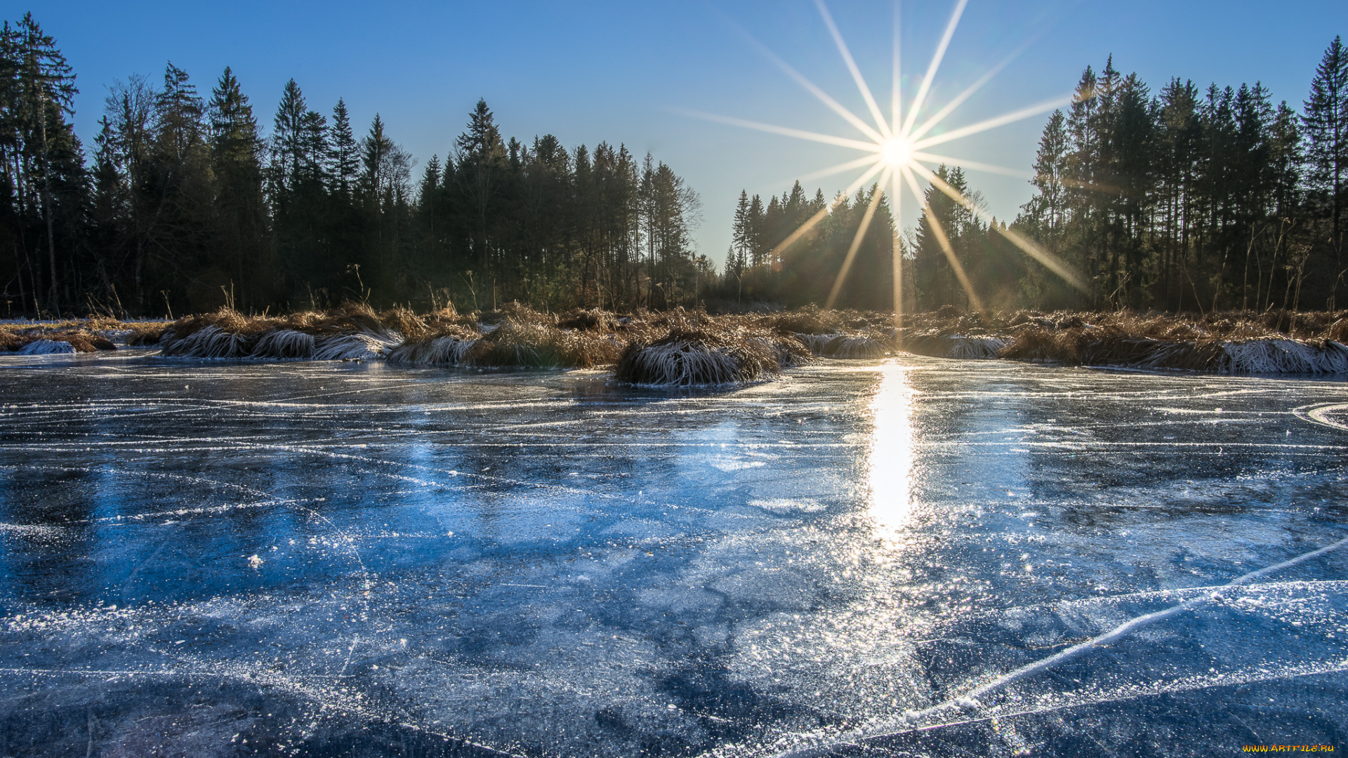 природа, реки, озера, лес, река