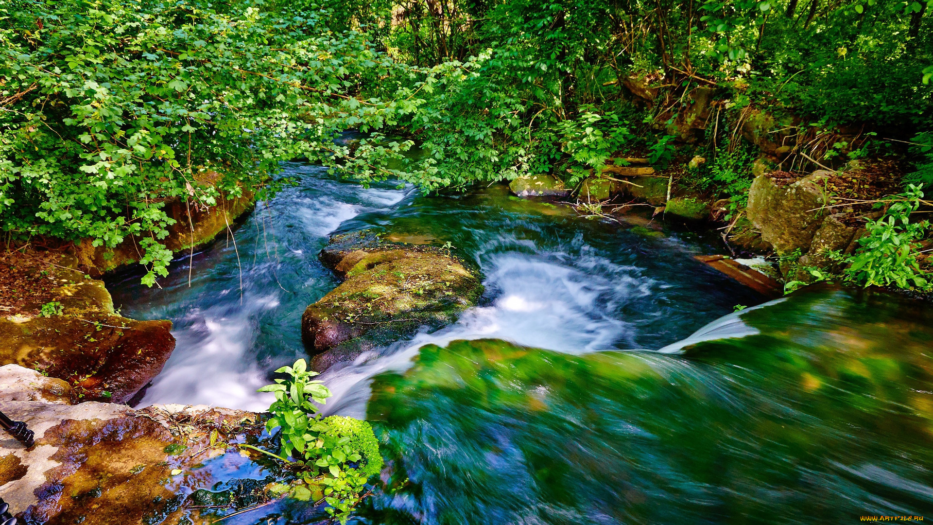 природа, реки, озера, поток, камни