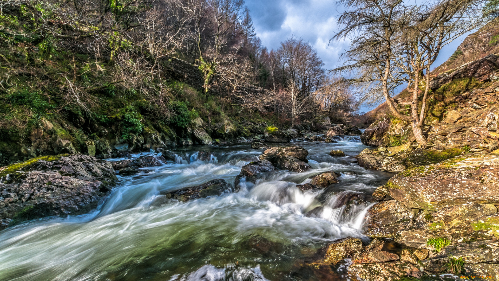 природа, реки, озера, река, лес