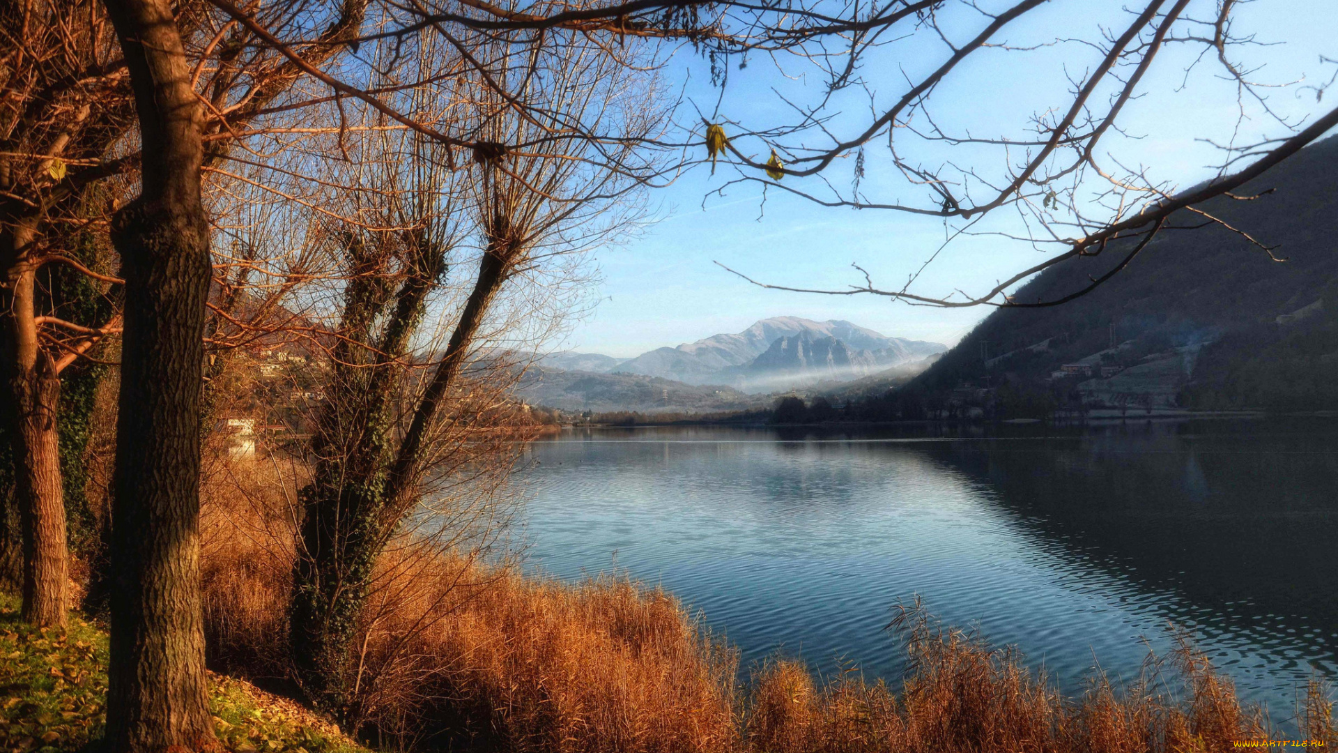 природа, реки, озера, река, лес